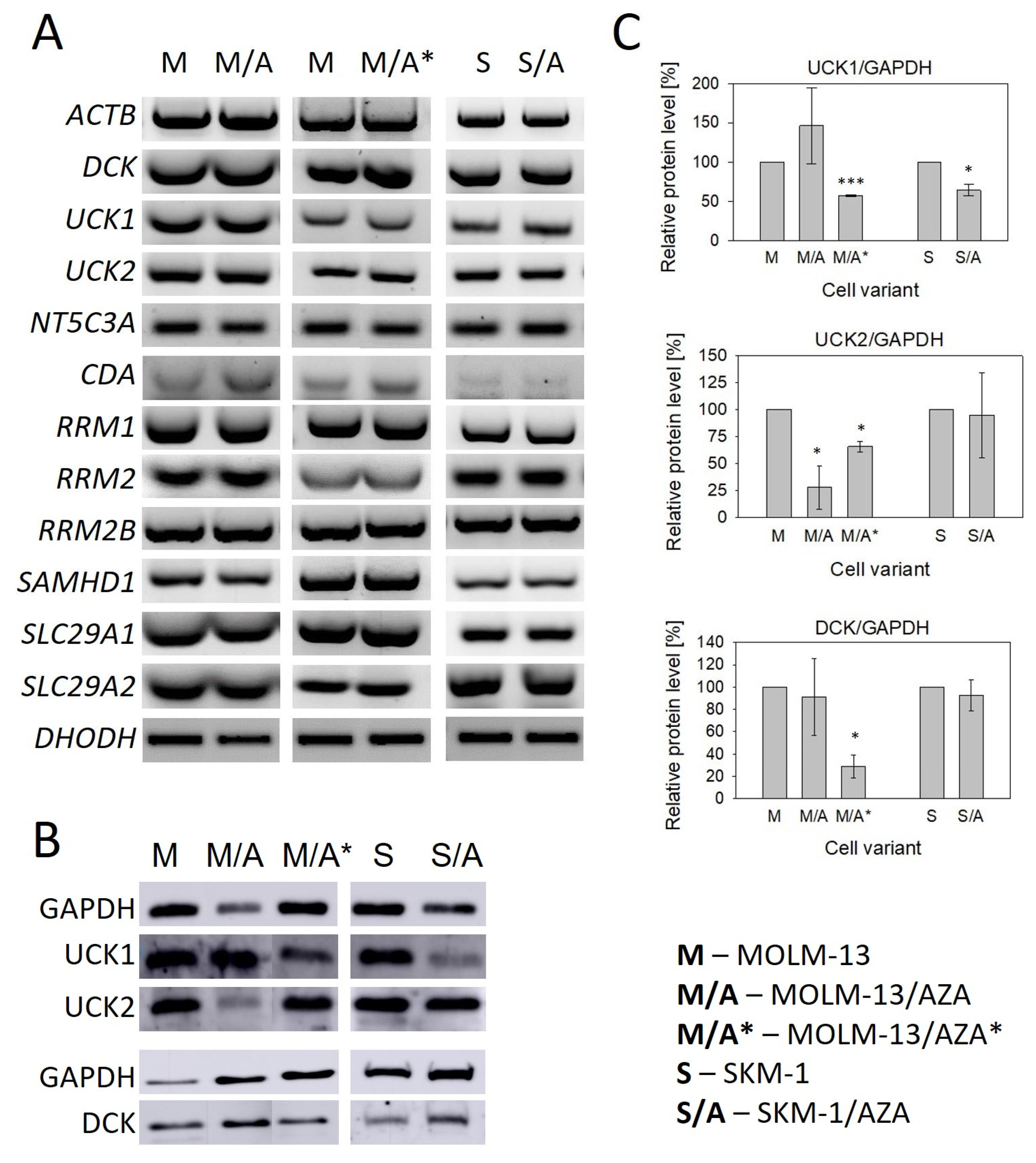 Cancers 15 03063 g004 Cancers 15 03063 g004