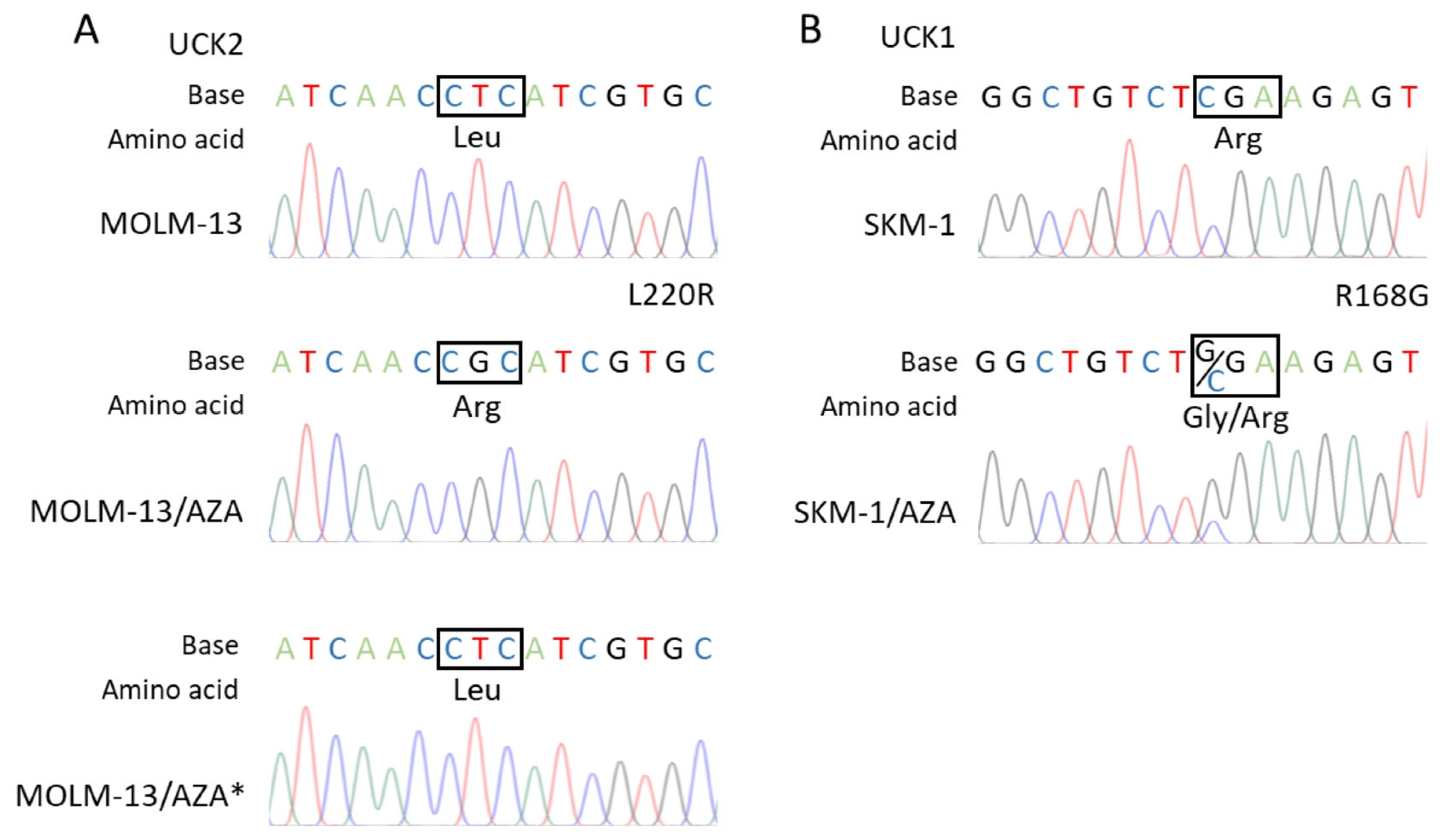 Cancers 15 03063 g005 Cancers 15 03063 g005