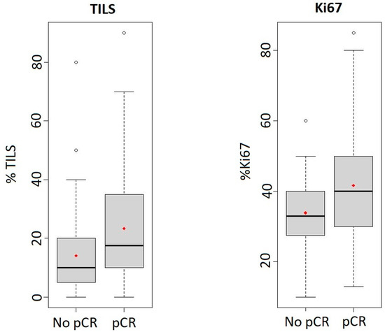 Clinicopathological Characteristics and Prognosis of 91 Patients