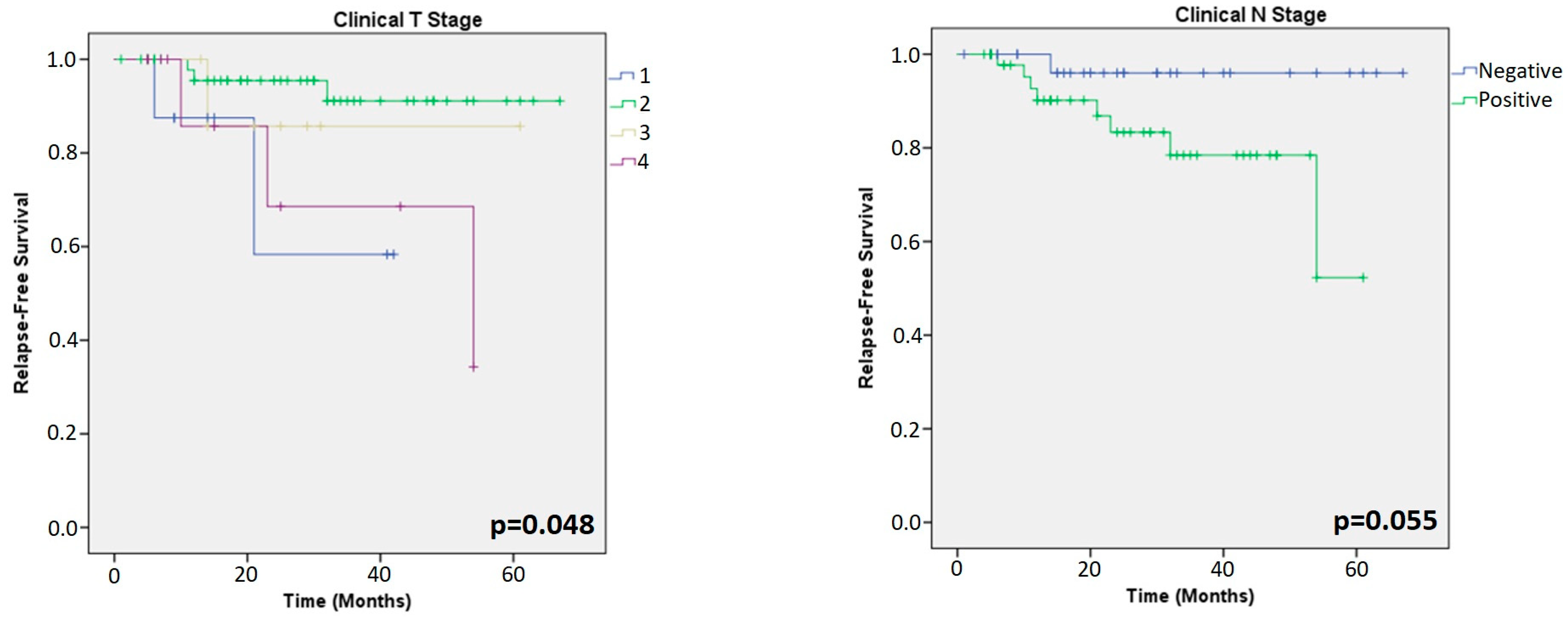 Cancers 15 03068 g003 Cancers 15 03068 g003
