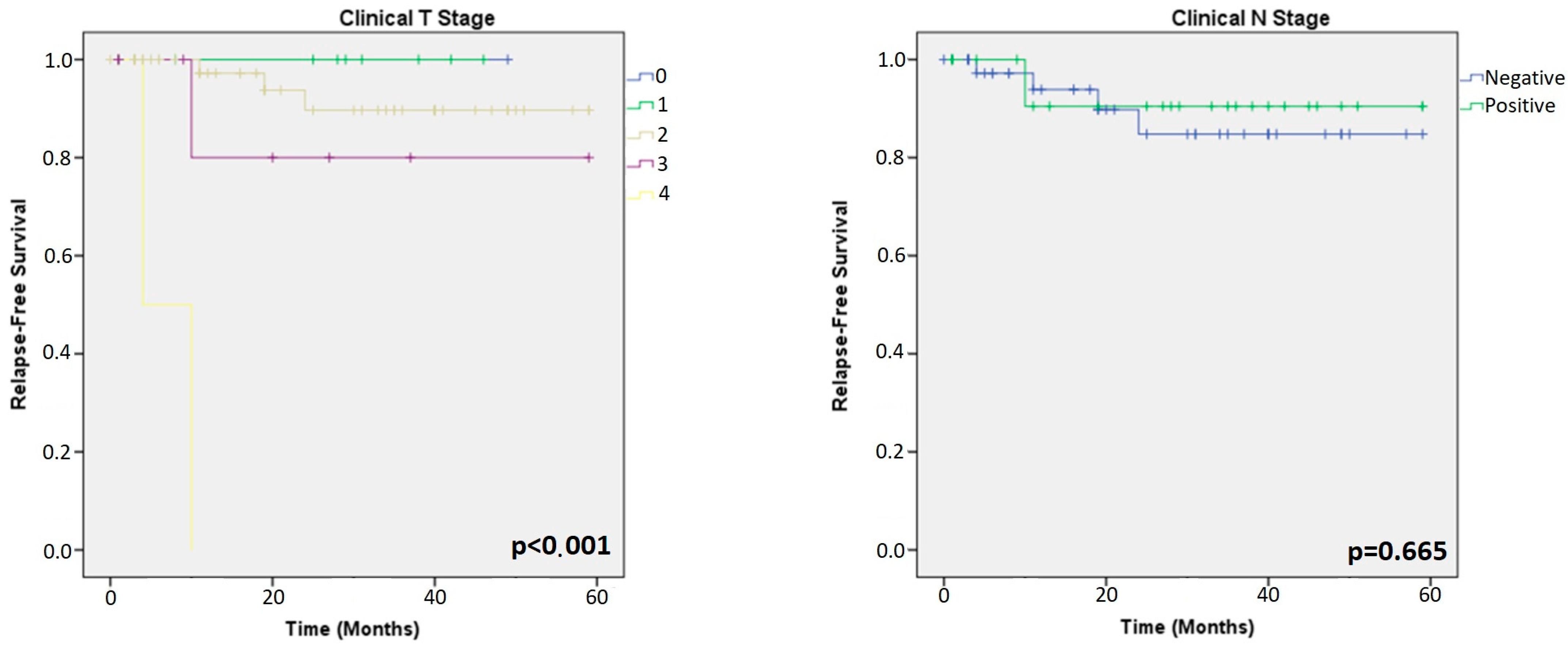 Cancers 15 03068 g005 Cancers 15 03068 g005
