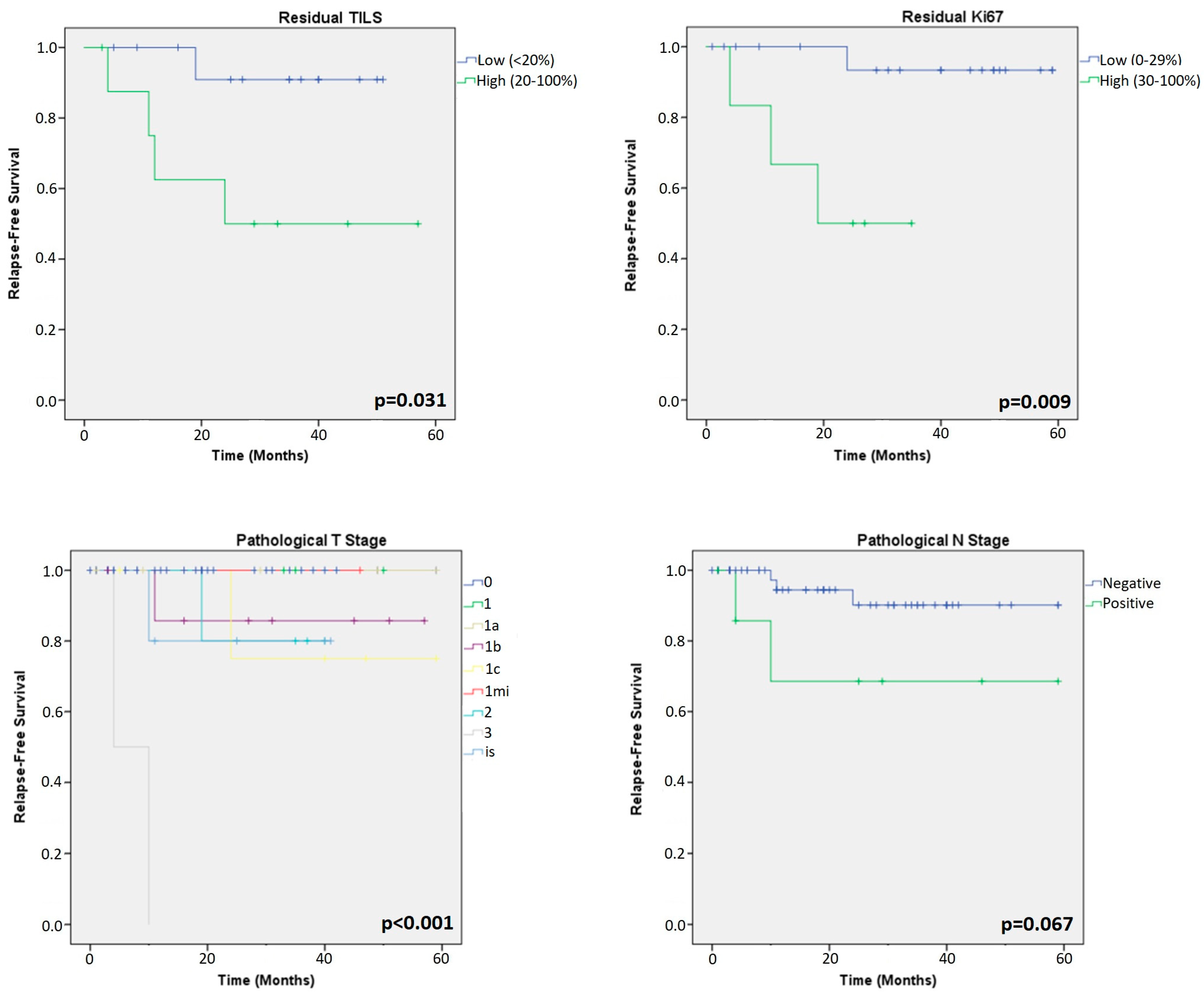 Cancers 15 03068 g006 Cancers 15 03068 g006