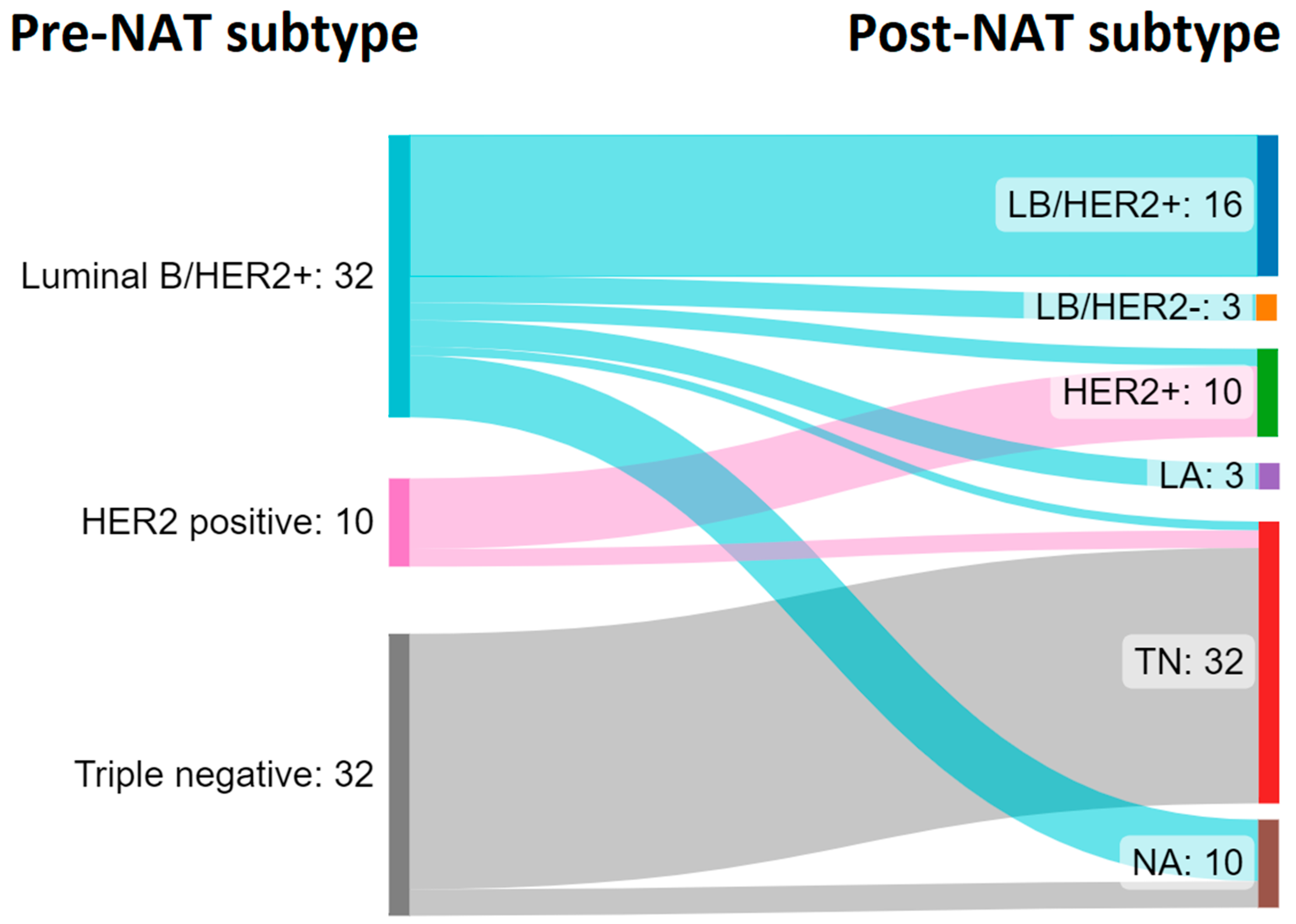 Cancers 15 03068 g008 Cancers 15 03068 g008