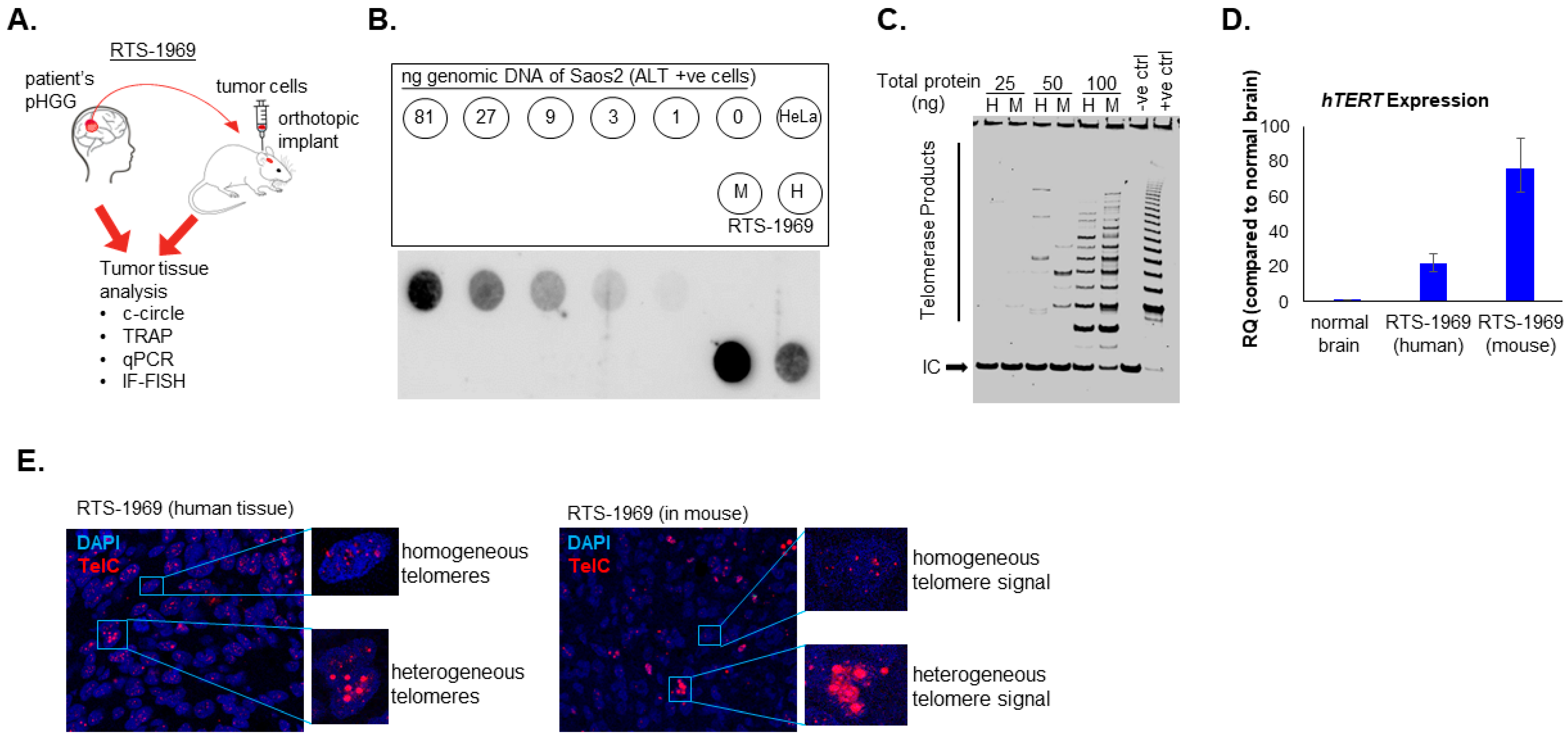 Cancers 15 03070 g002 Cancers 15 03070 g002