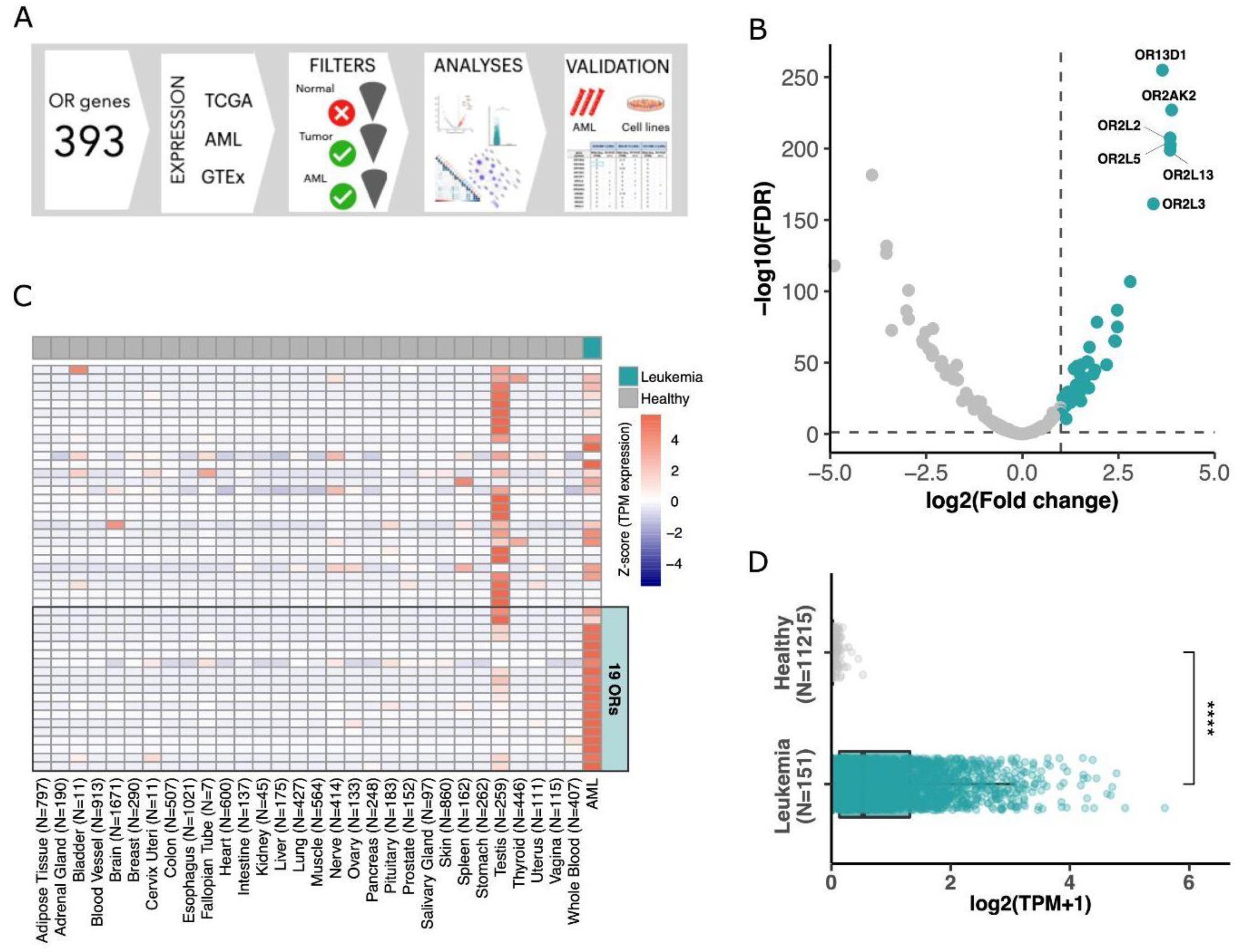 Cancers 15 03073 g001