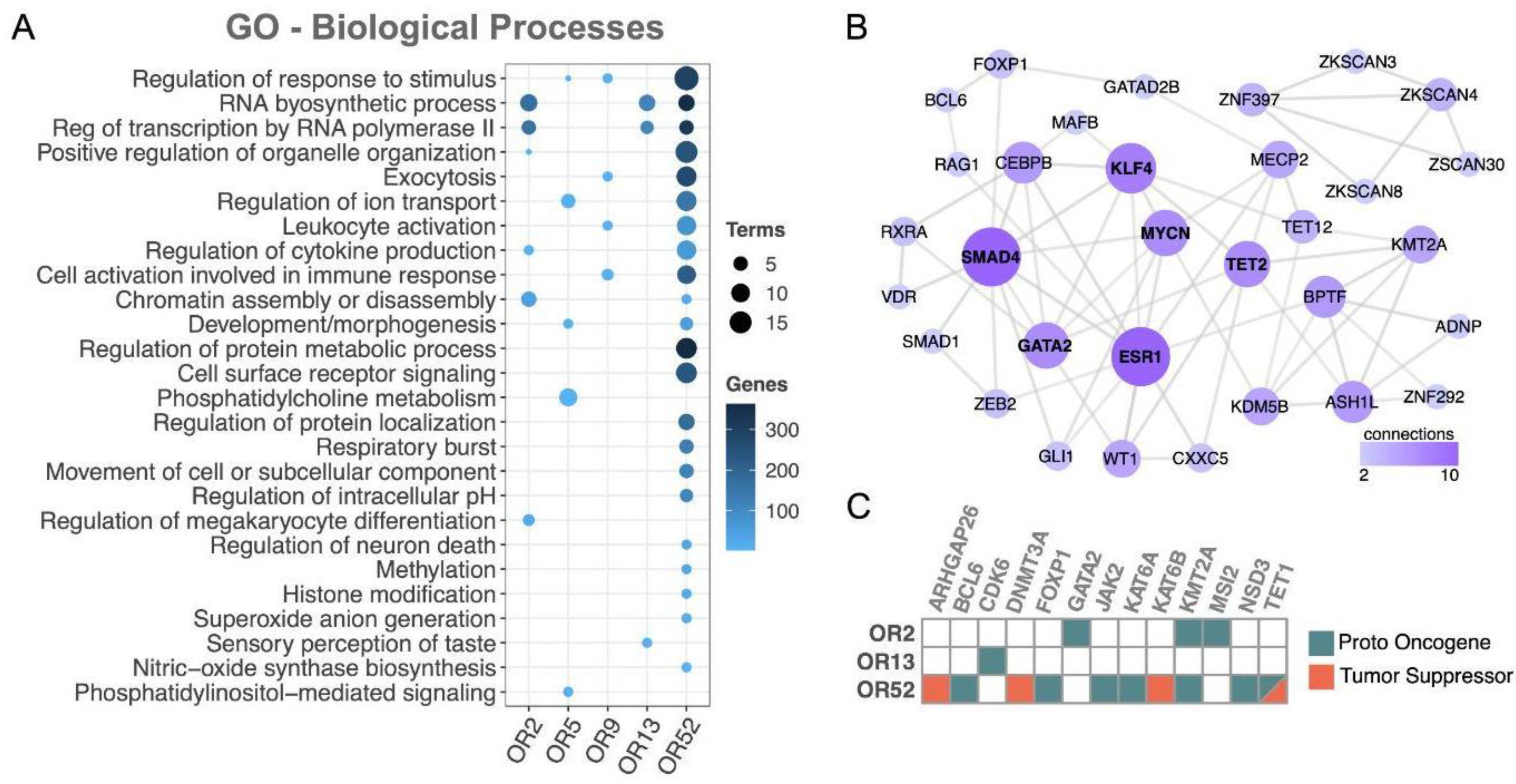 Cancers 15 03073 g006