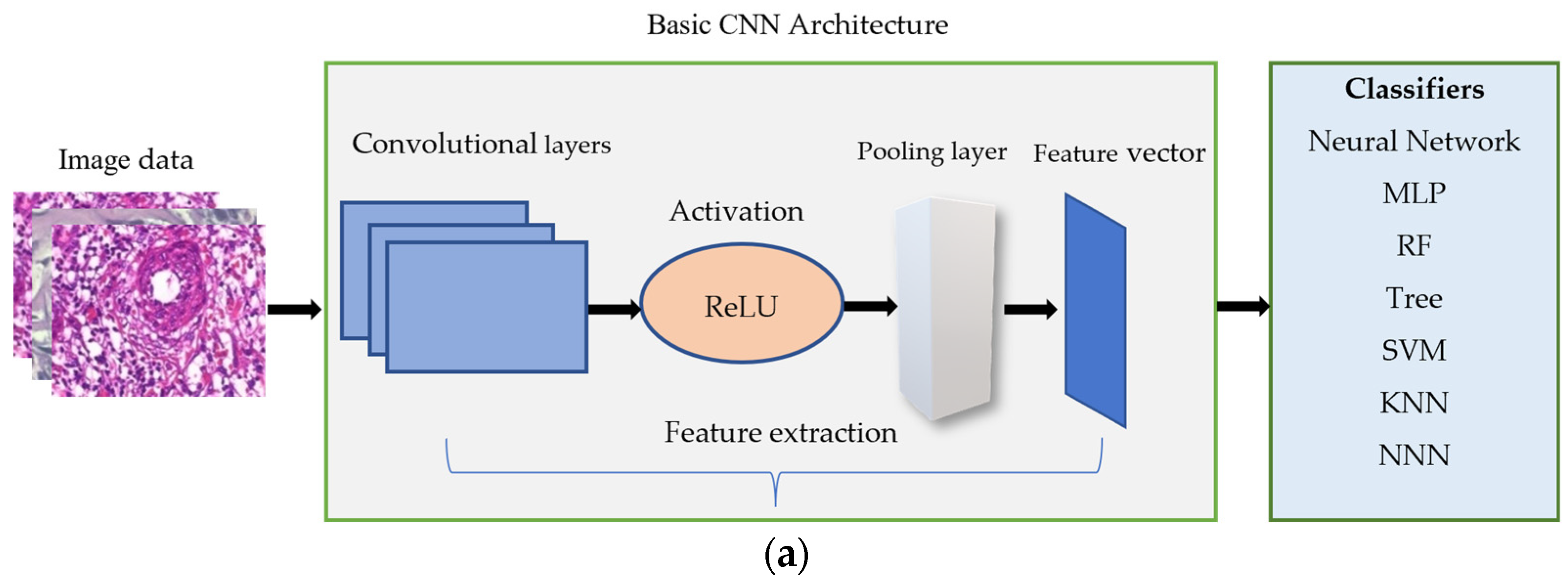 Deep Learning- and Expert Knowledge-Based Feature Extraction and ...