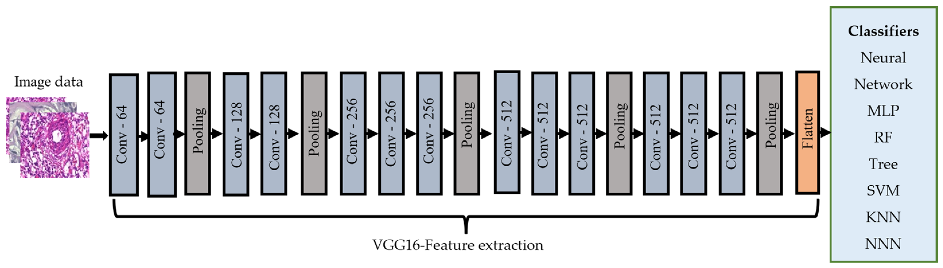 Cancers 15 03075 g004