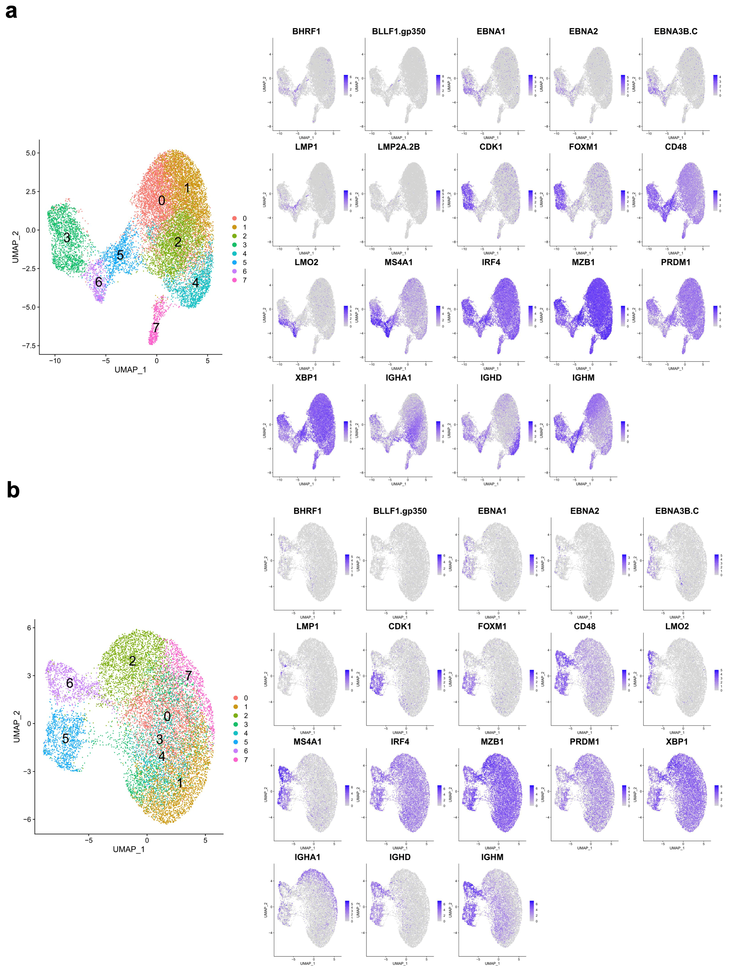 Cancers 15 03083 g003 Cancers 15 03083 g003