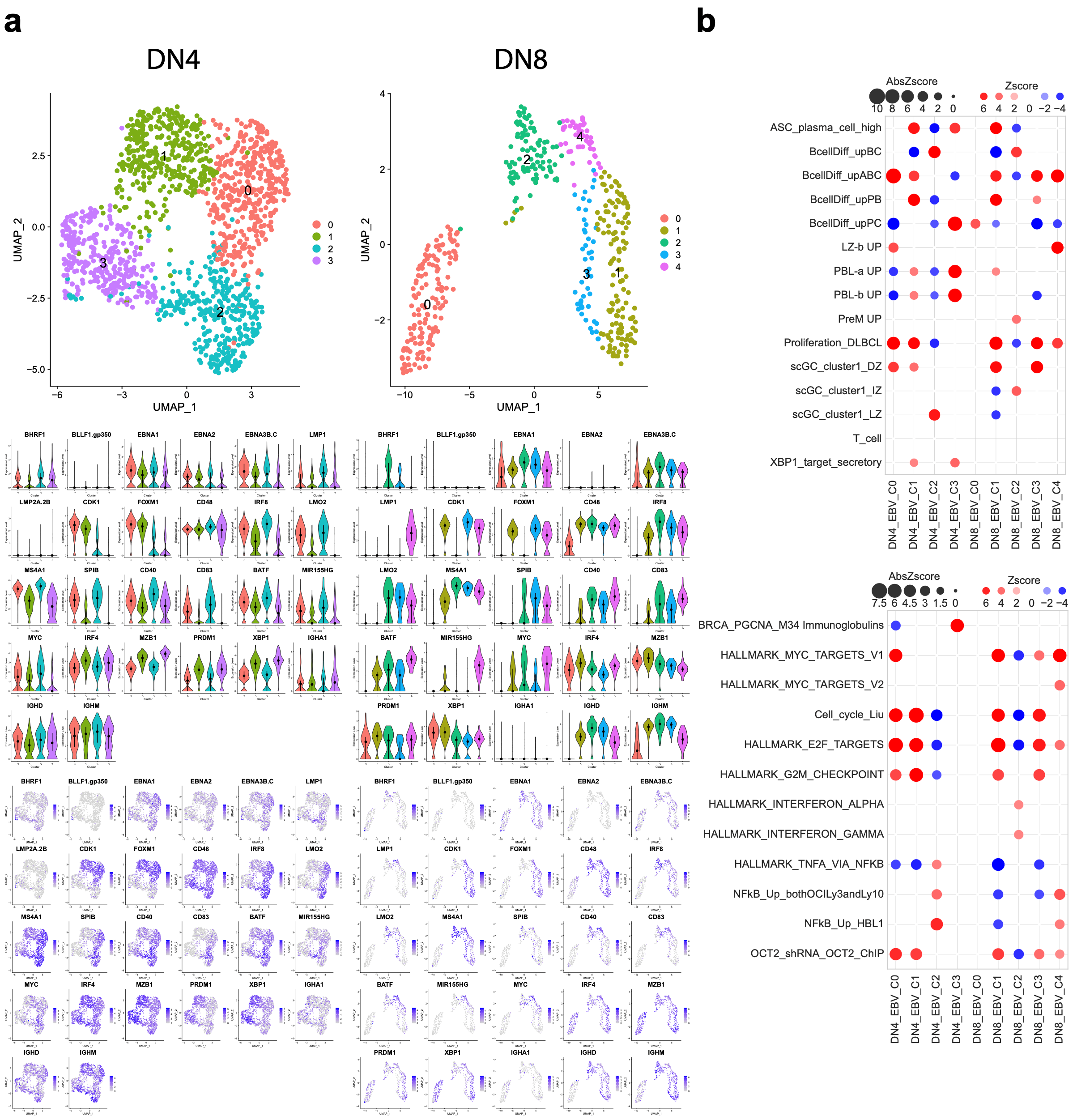 Cancers 15 03083 g007 Cancers 15 03083 g007