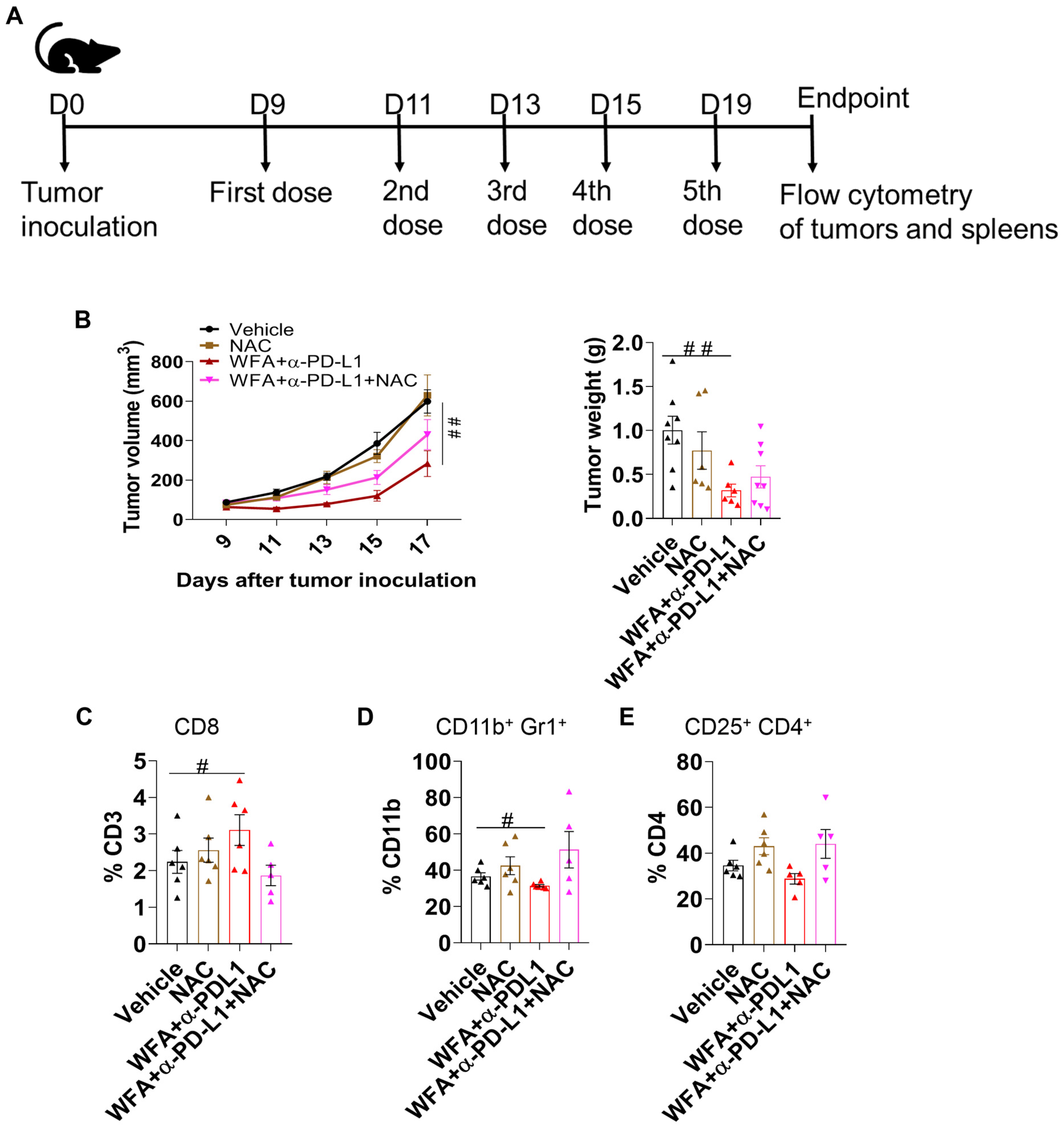 Cancers 15 03089 g006 Cancers 15 03089 g006