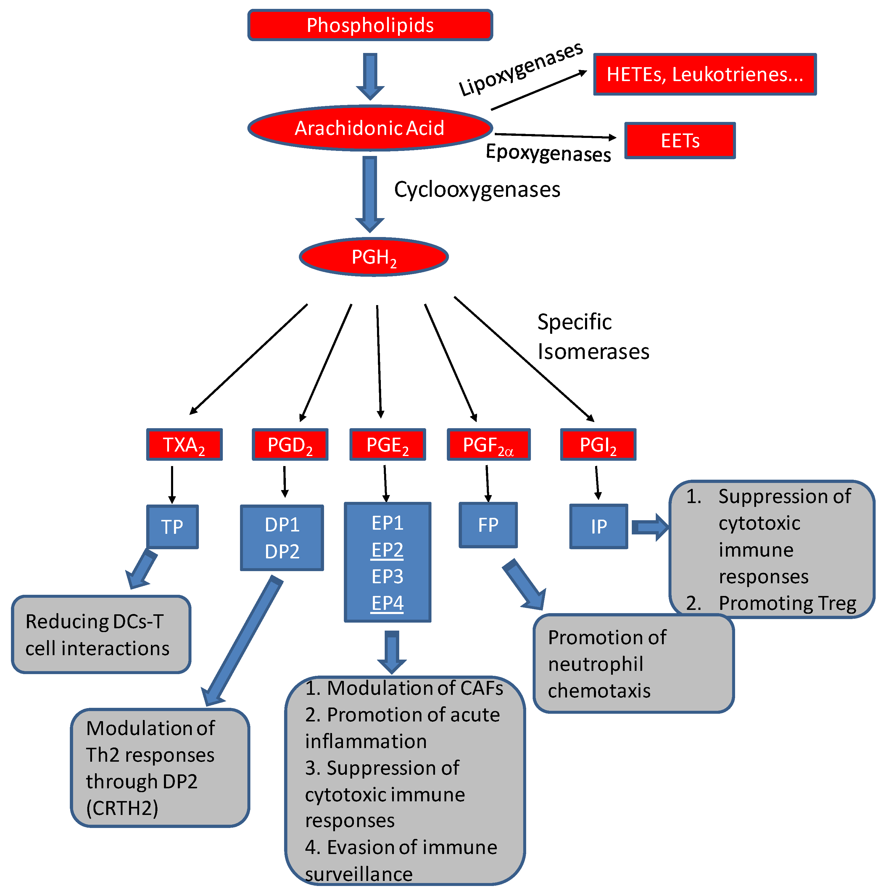 Cancers 15 03090 g001 Cancers 15 03090 g001