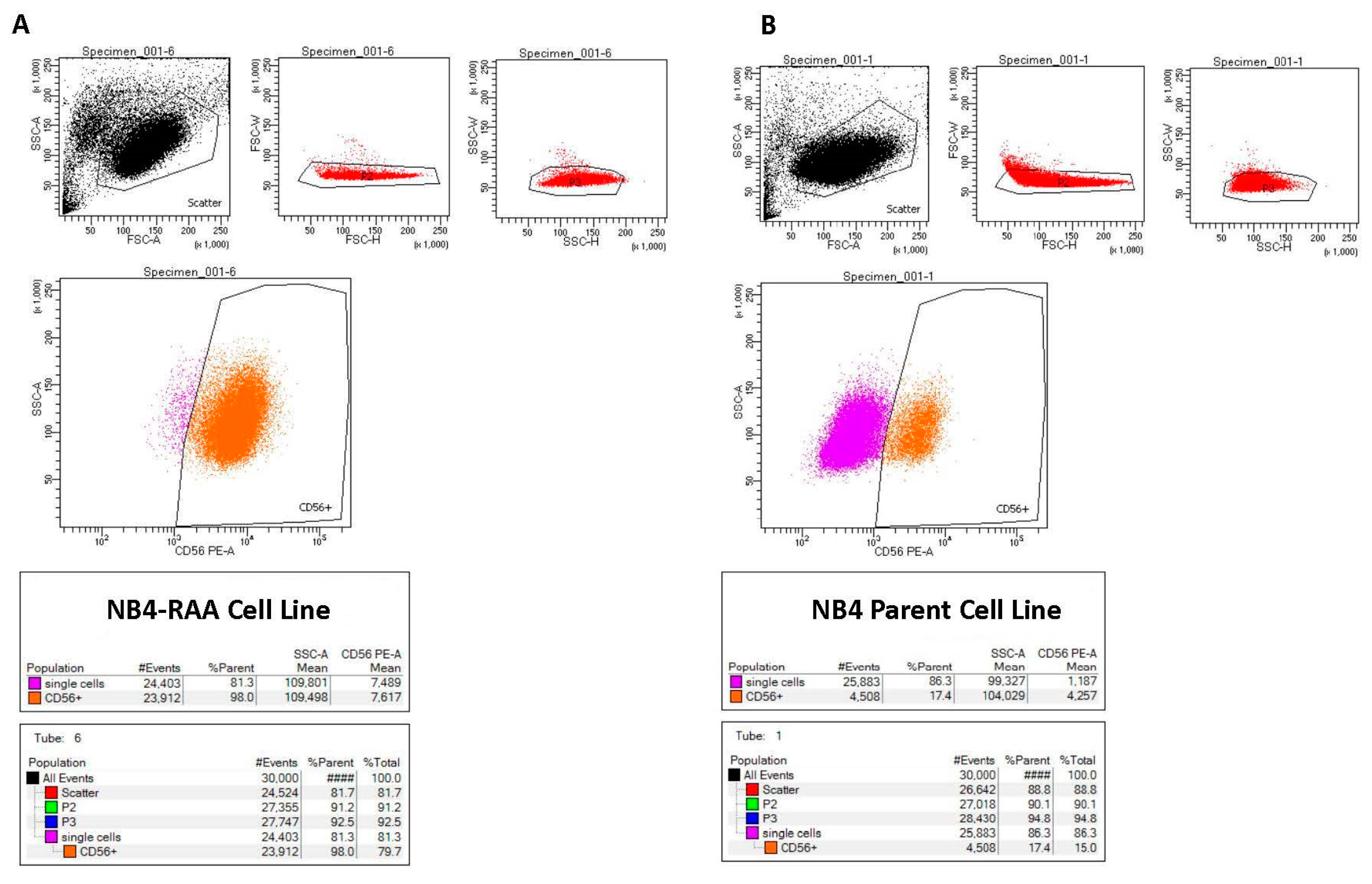Cancers 15 03104 g003 Cancers 15 03104 g003