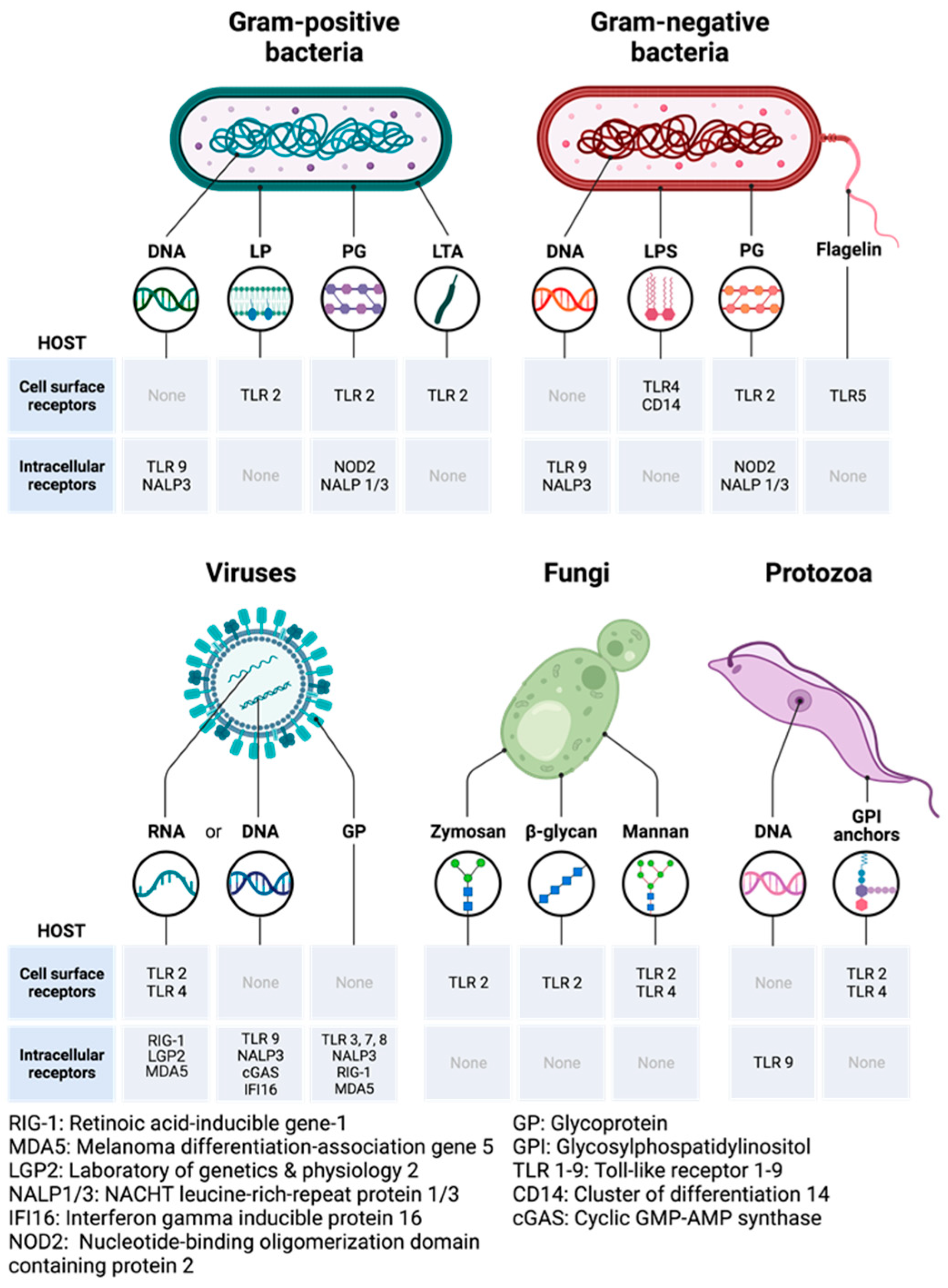 Cancers 15 03110 g006 Cancers 15 03110 g006