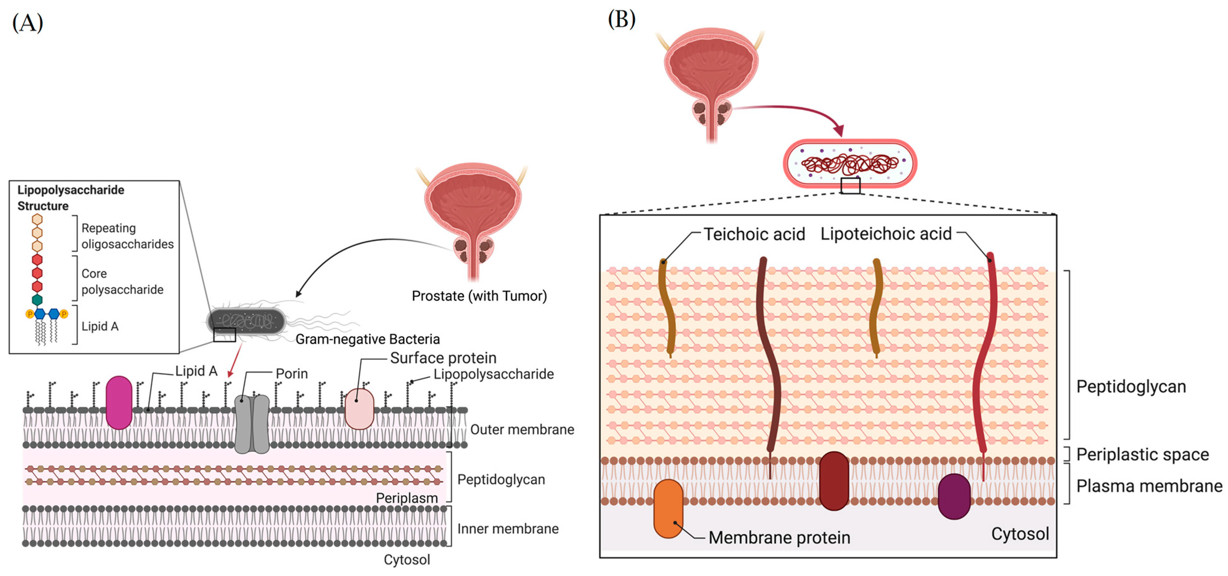 Cancers 15 03110 g007 Cancers 15 03110 g007