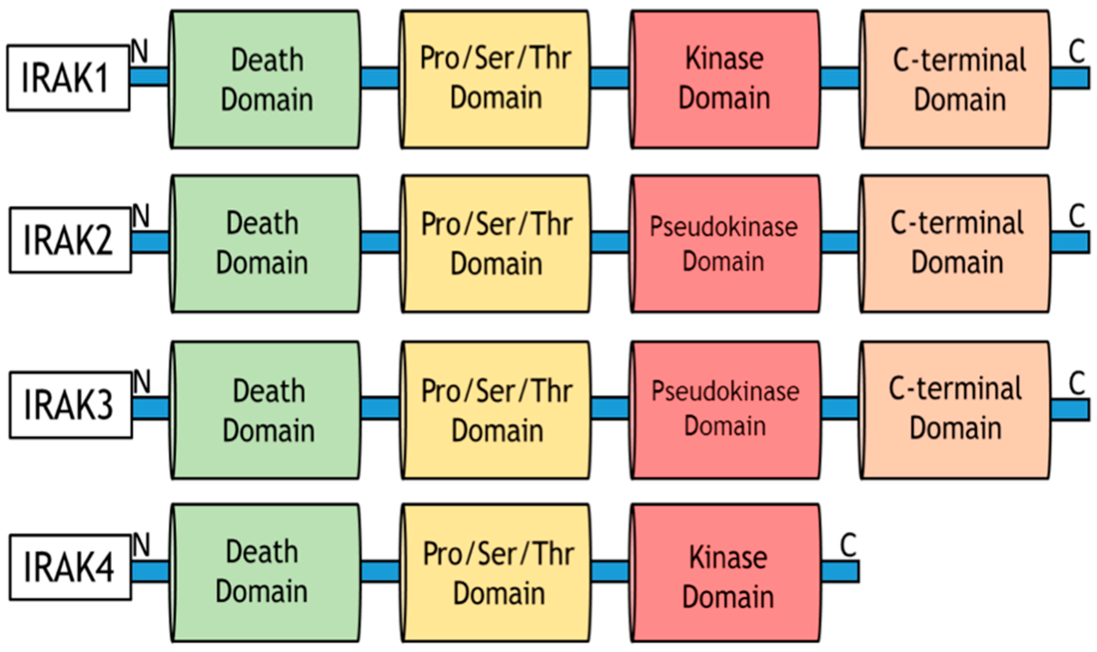 Cancers 15 03110 g009 Cancers 15 03110 g009