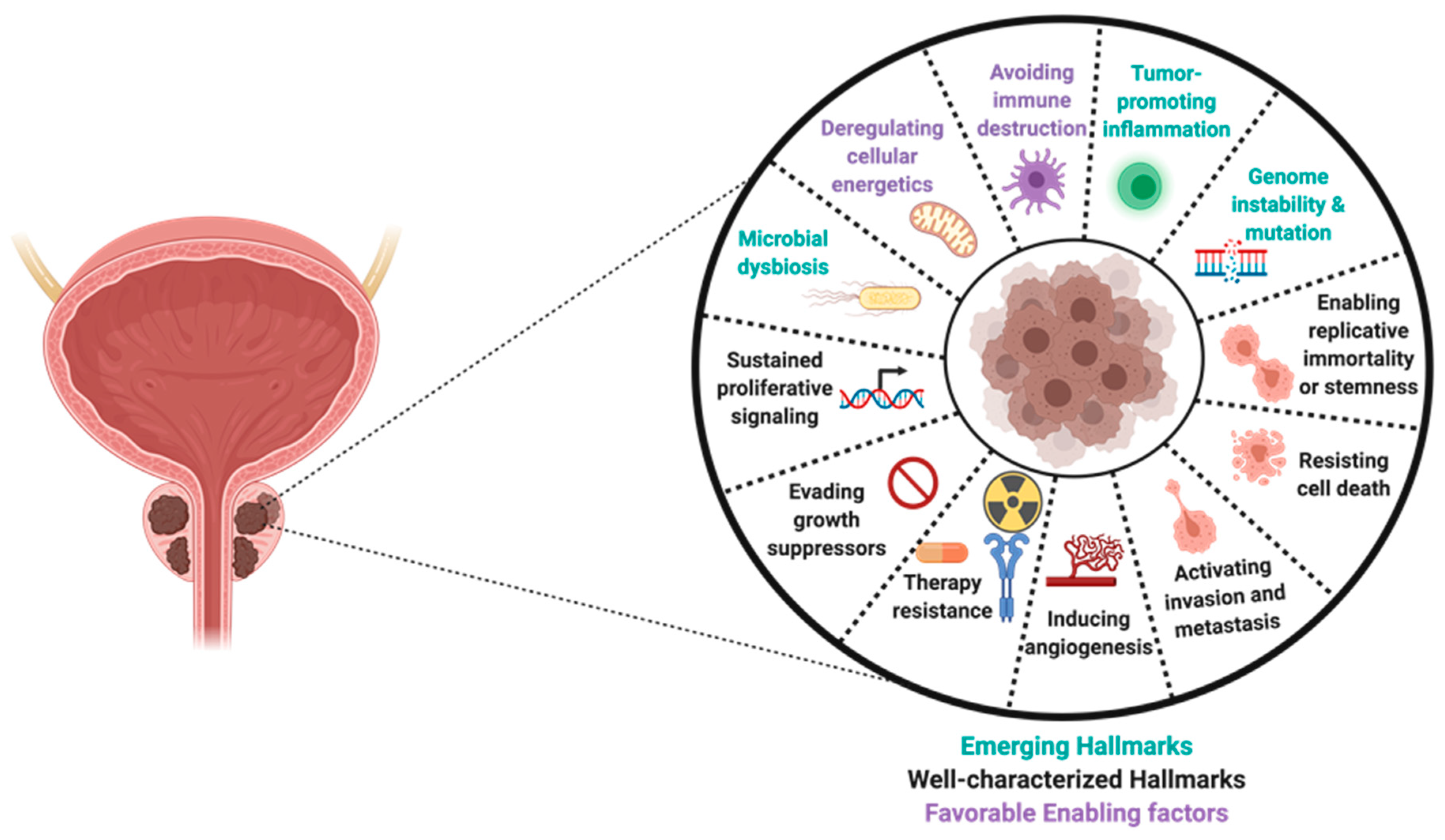 Cancers 15 03110 g013 Cancers 15 03110 g013
