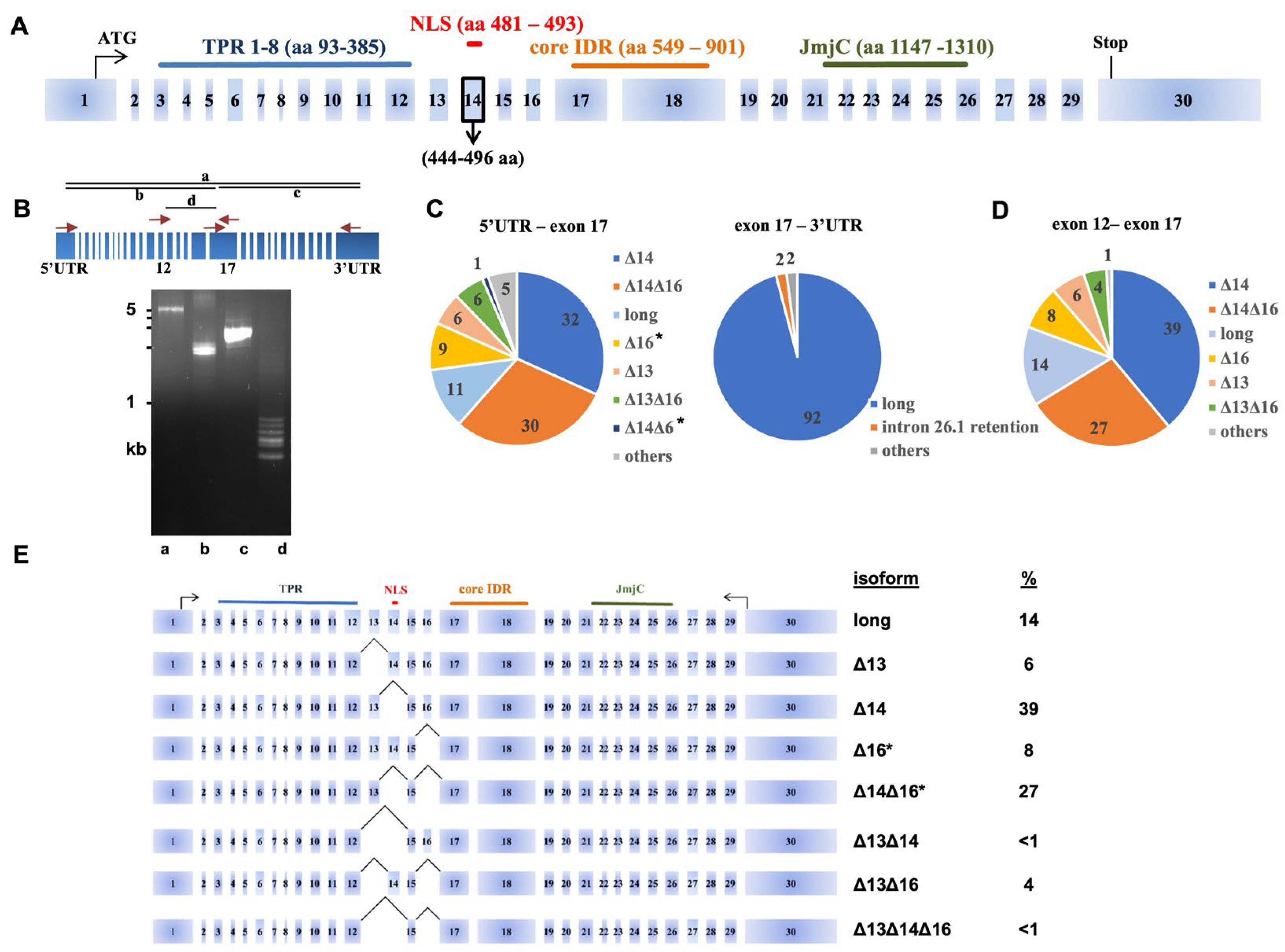 Cancers 15 03117 g001 Cancers 15 03117 g001