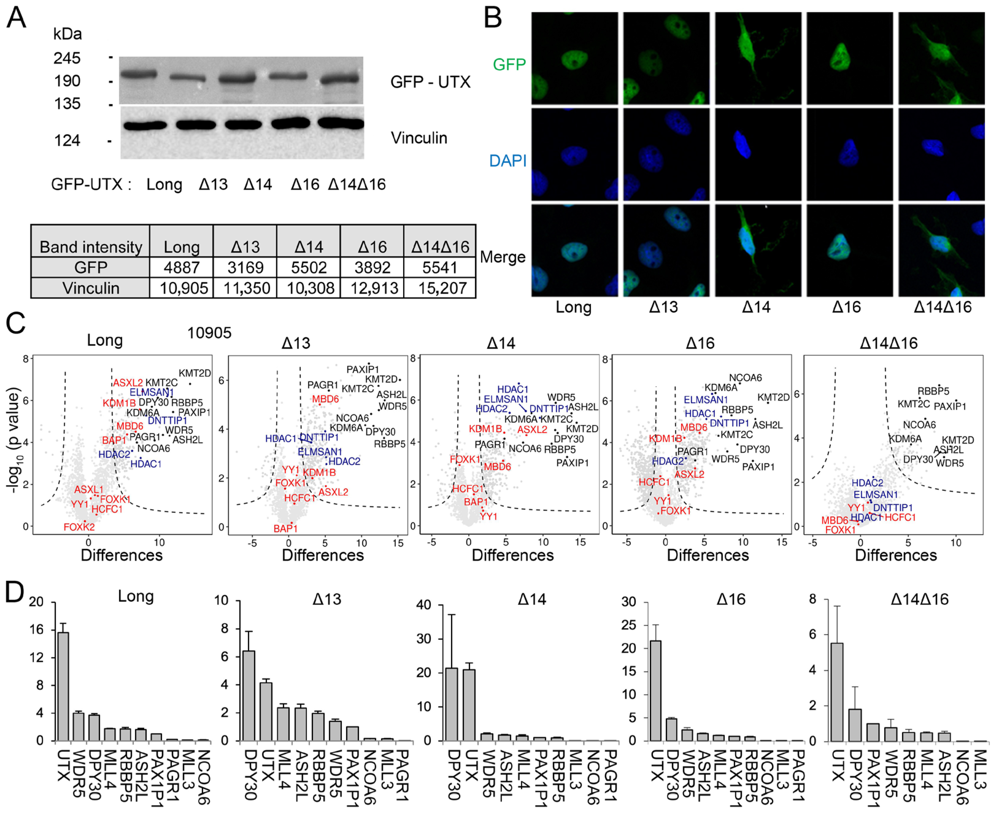 Cancers 15 03117 g003 Cancers 15 03117 g003