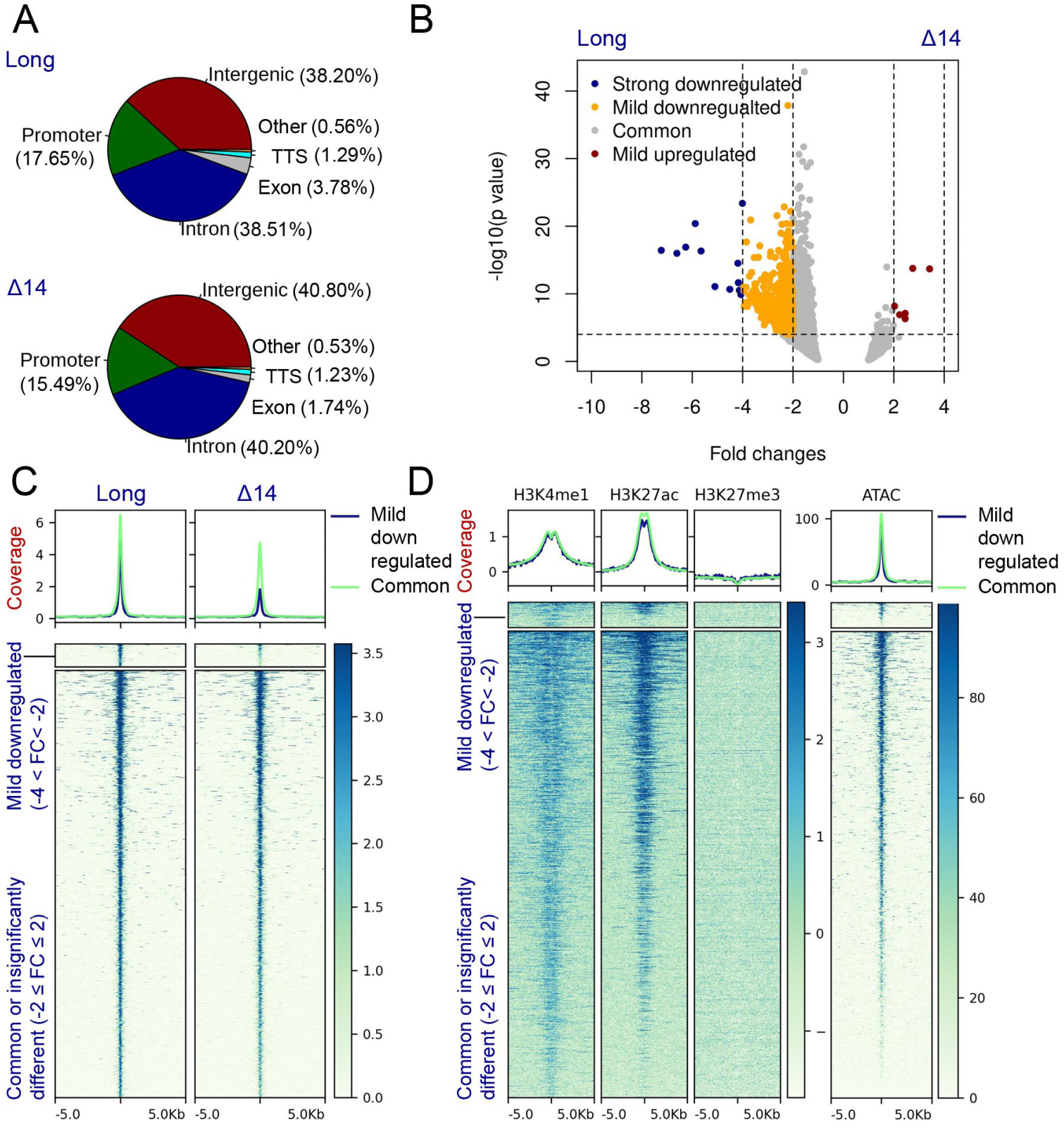 Cancers 15 03117 g005 Cancers 15 03117 g005