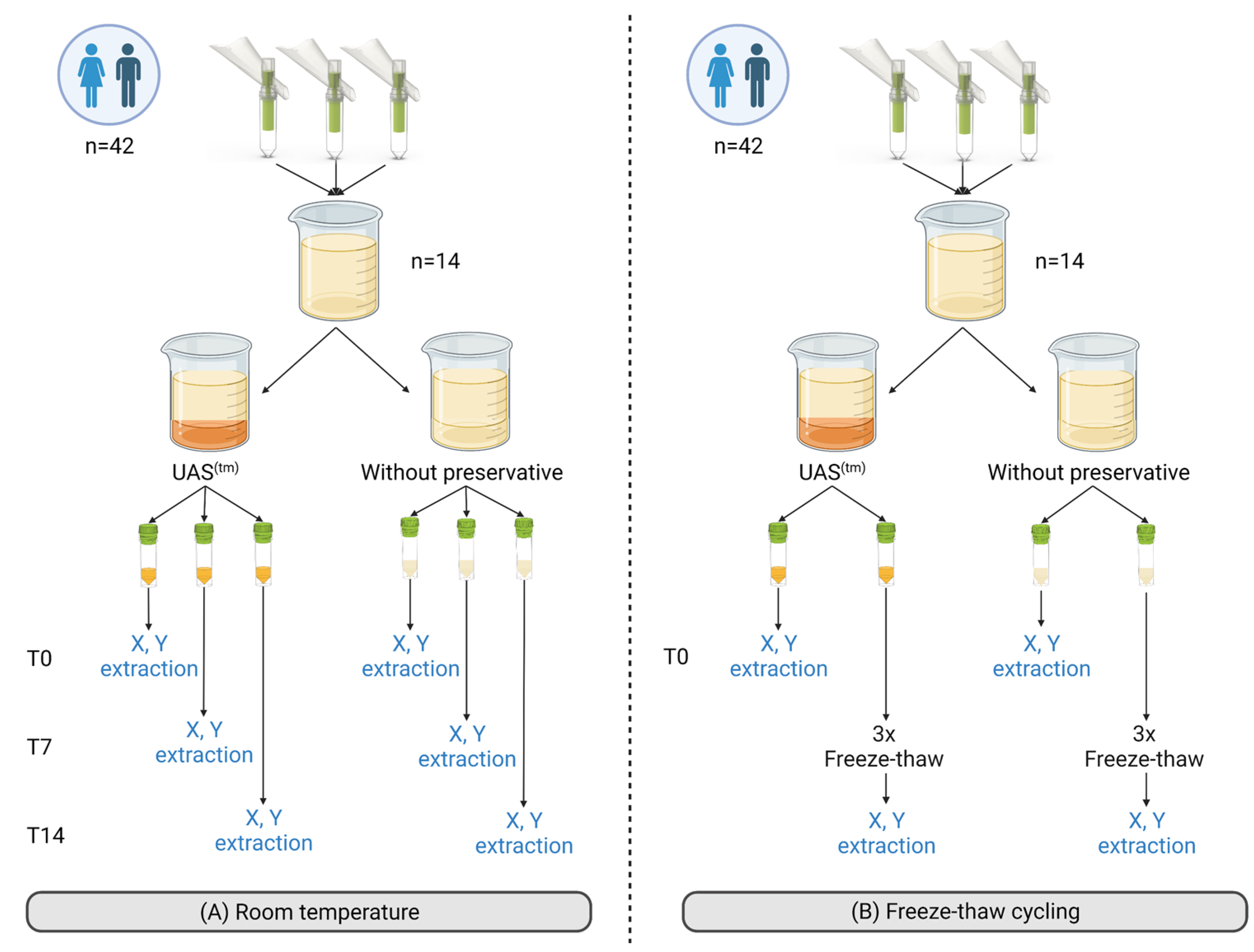Cancers 15 03119 g001