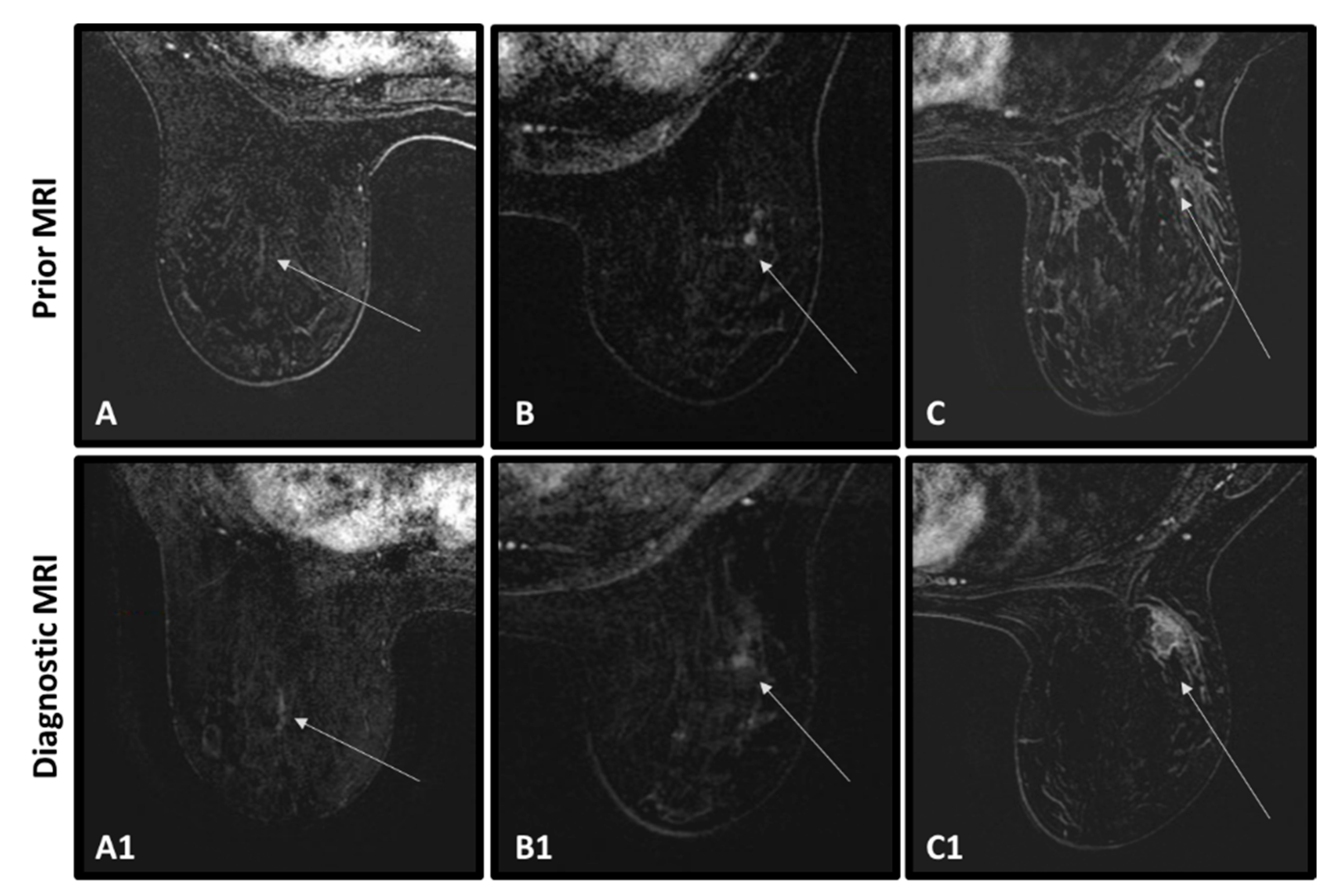 Cancers 15 03120 g005 Cancers 15 03120 g005