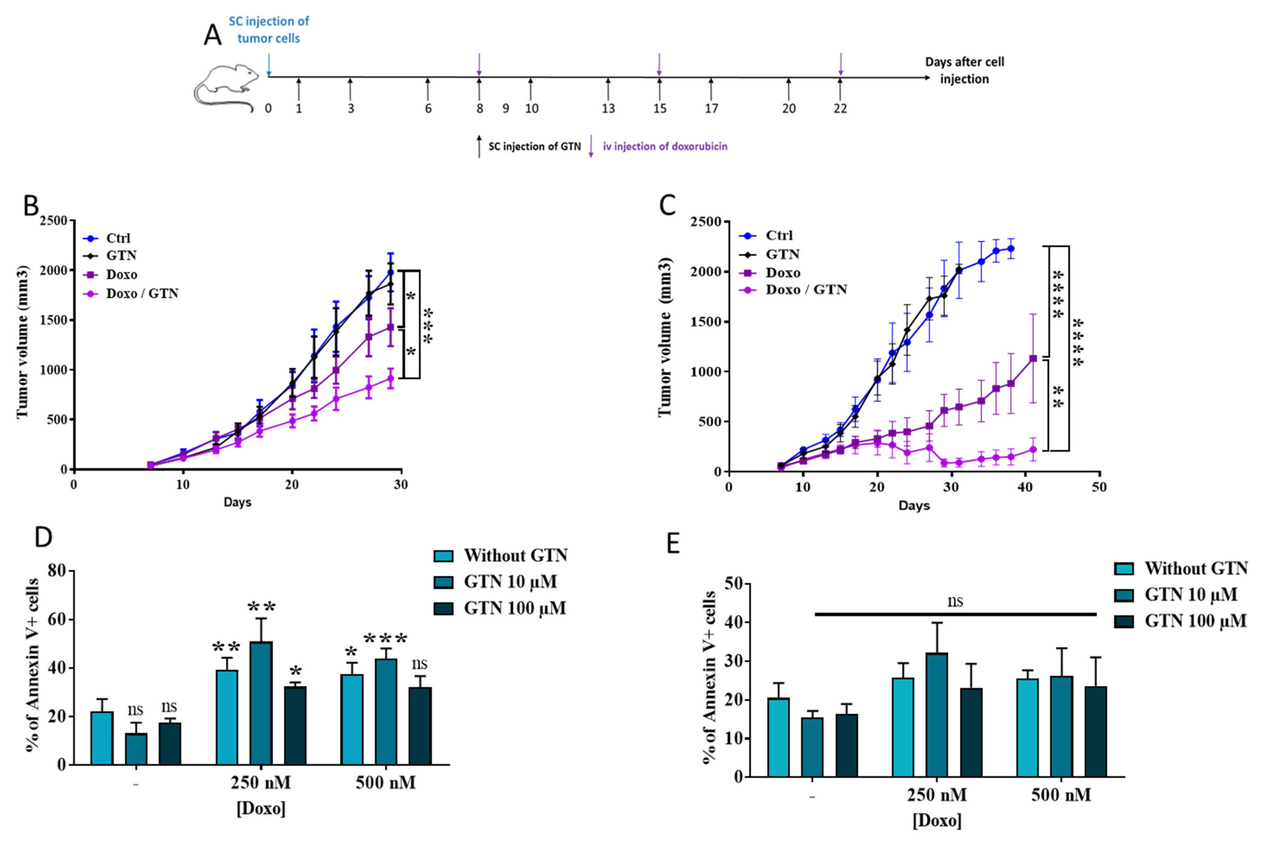 Cancers 15 03129 g001 Cancers 15 03129 g001