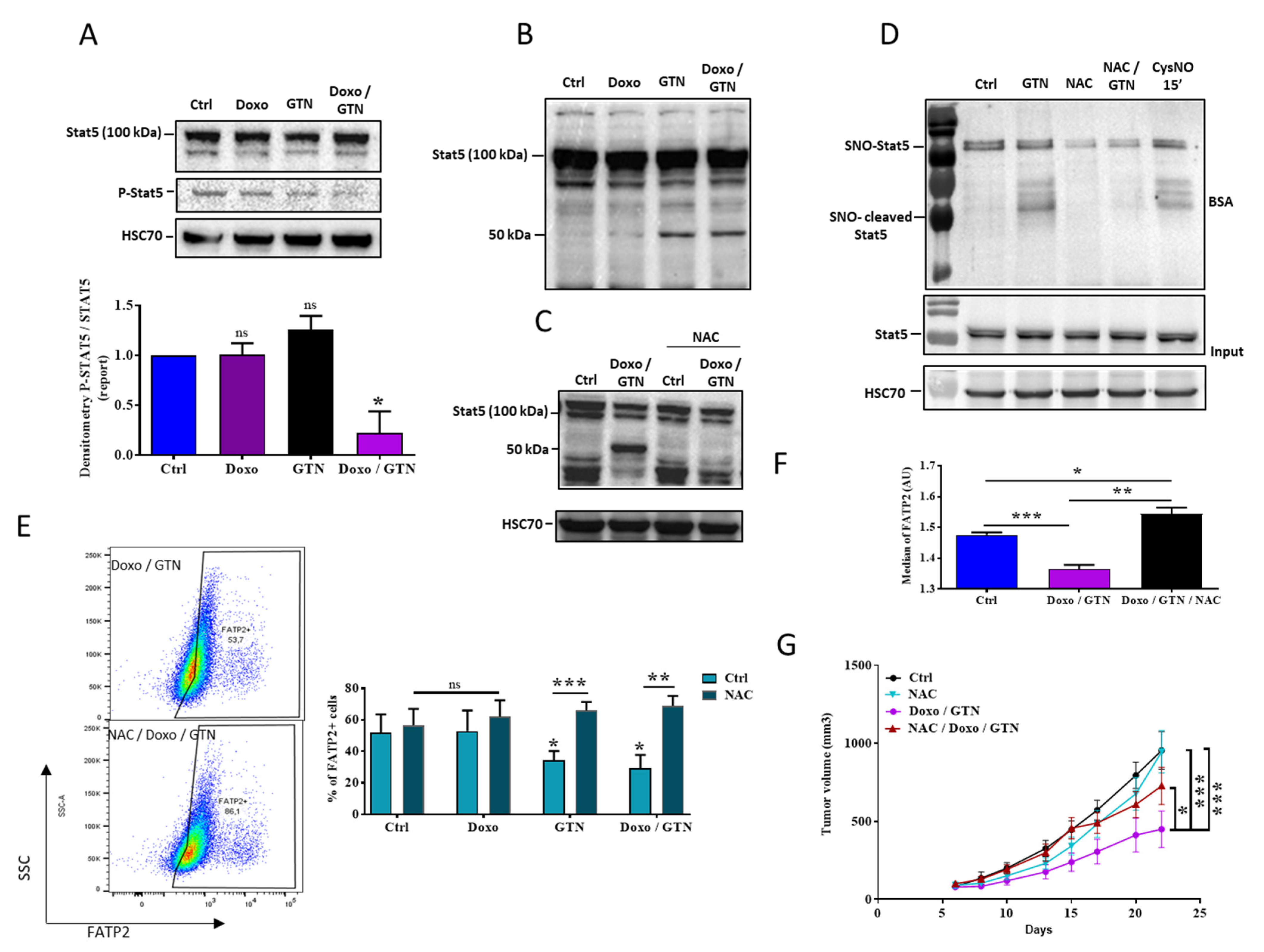 Cancers 15 03129 g005 Cancers 15 03129 g005