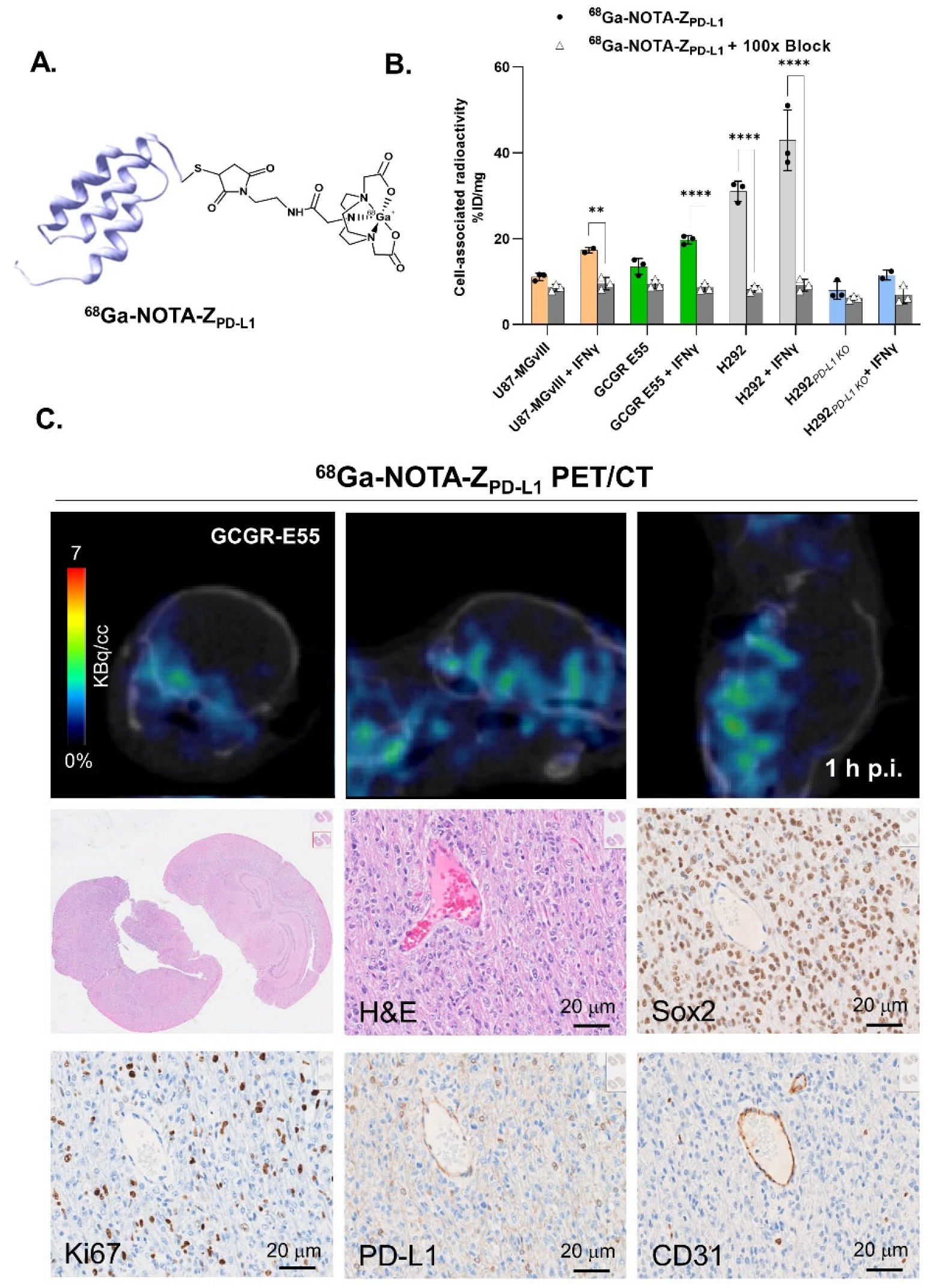 Cancers 15 03131 g005 Cancers 15 03131 g005