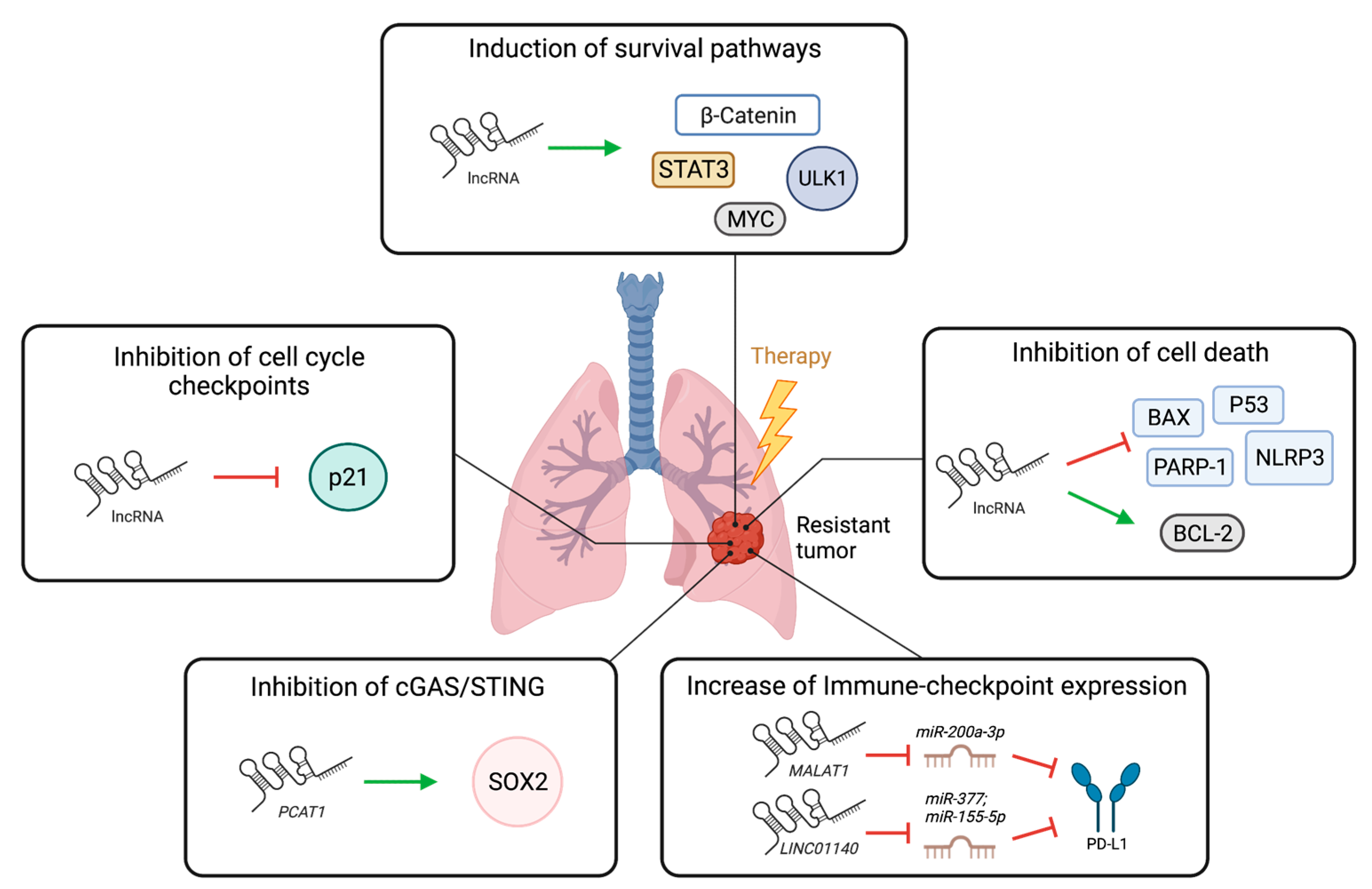Cancers 15 03135 g002 Cancers 15 03135 g002