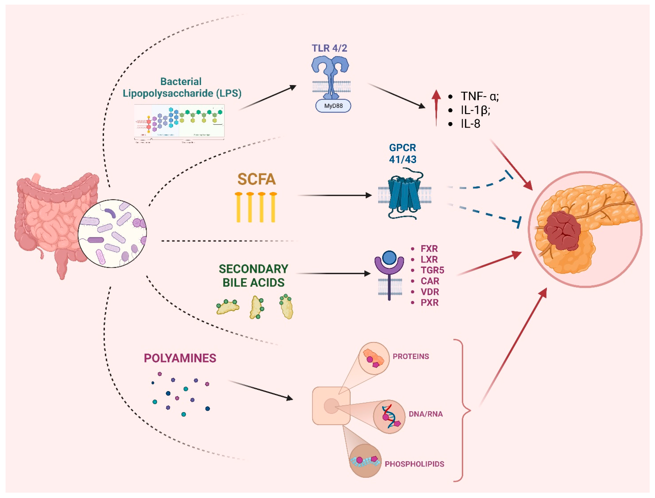 Cancers 15 03143 g001 Cancers 15 03143 g001