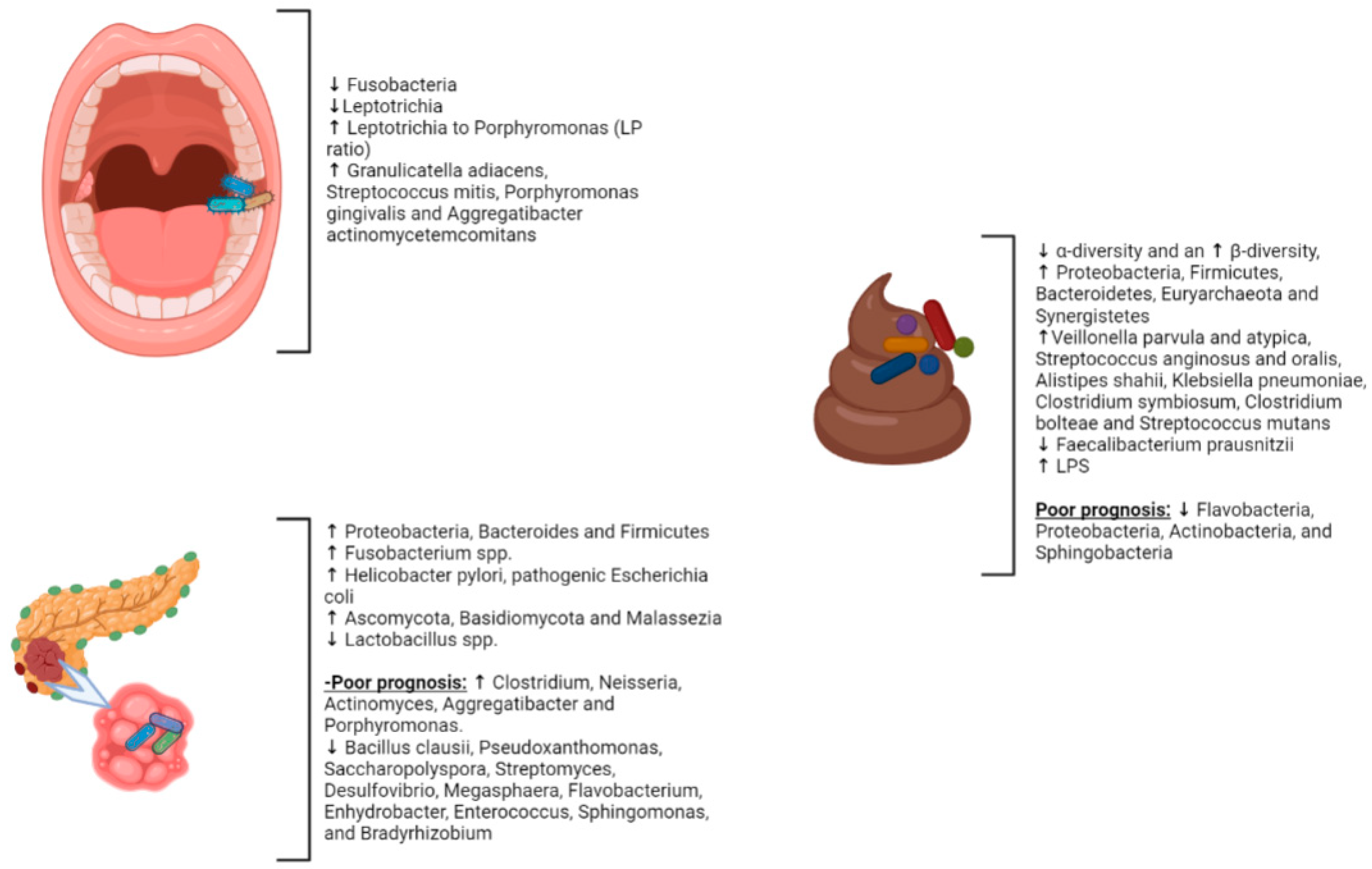 Cancers 15 03143 g002 Cancers 15 03143 g002