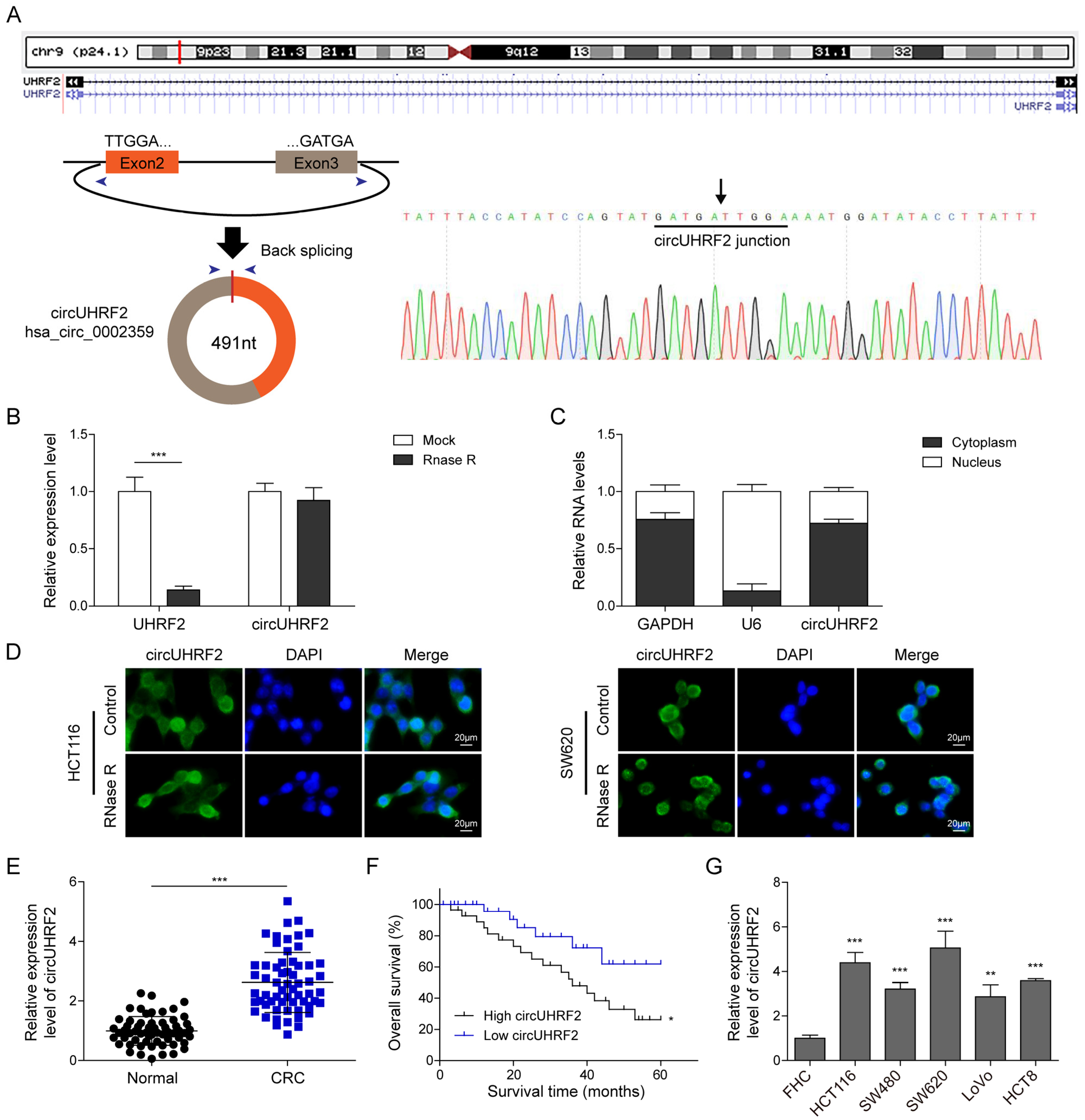 Cancers 15 03148 g001 Cancers 15 03148 g001