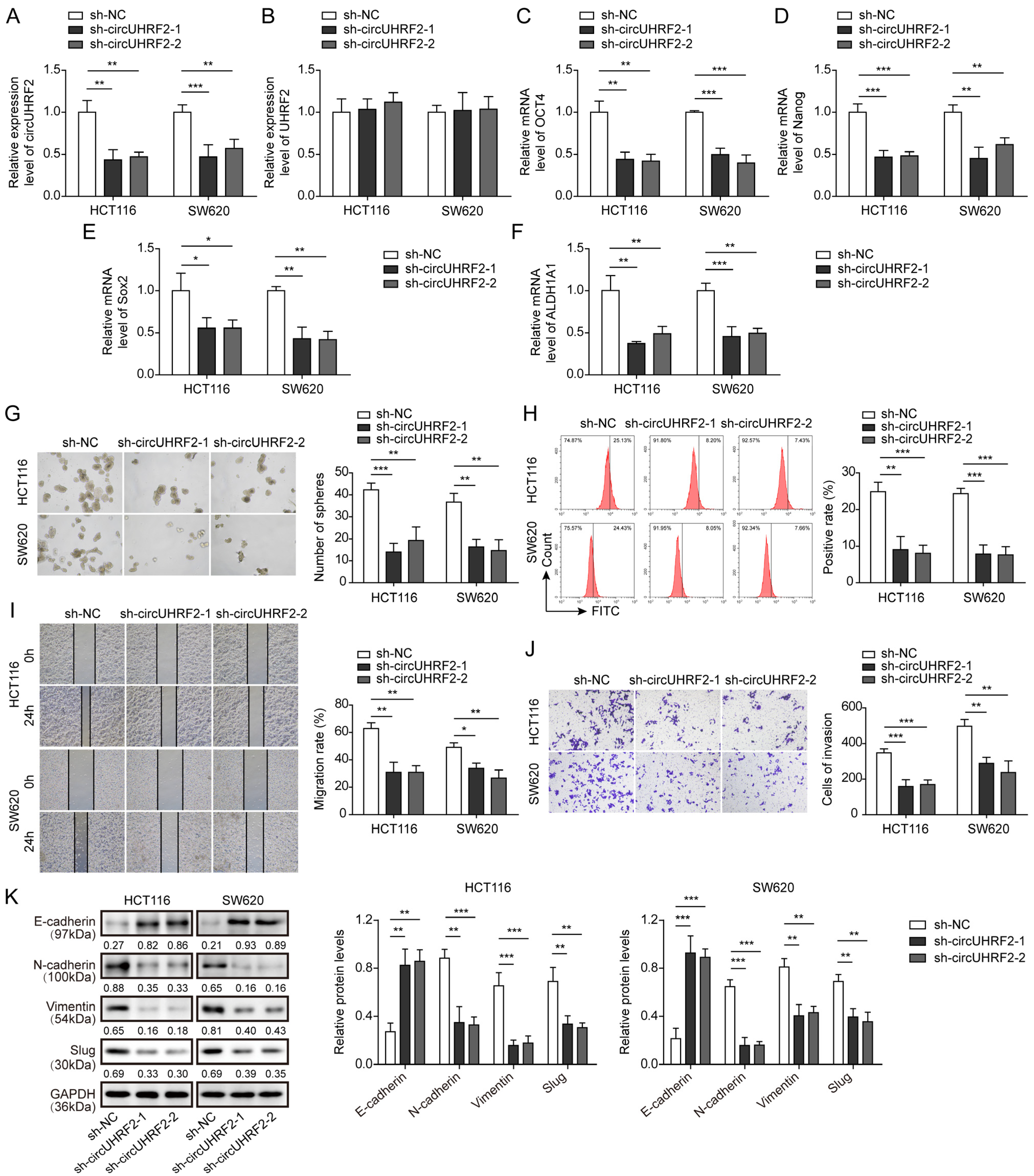 Cancers 15 03148 g002 Cancers 15 03148 g002