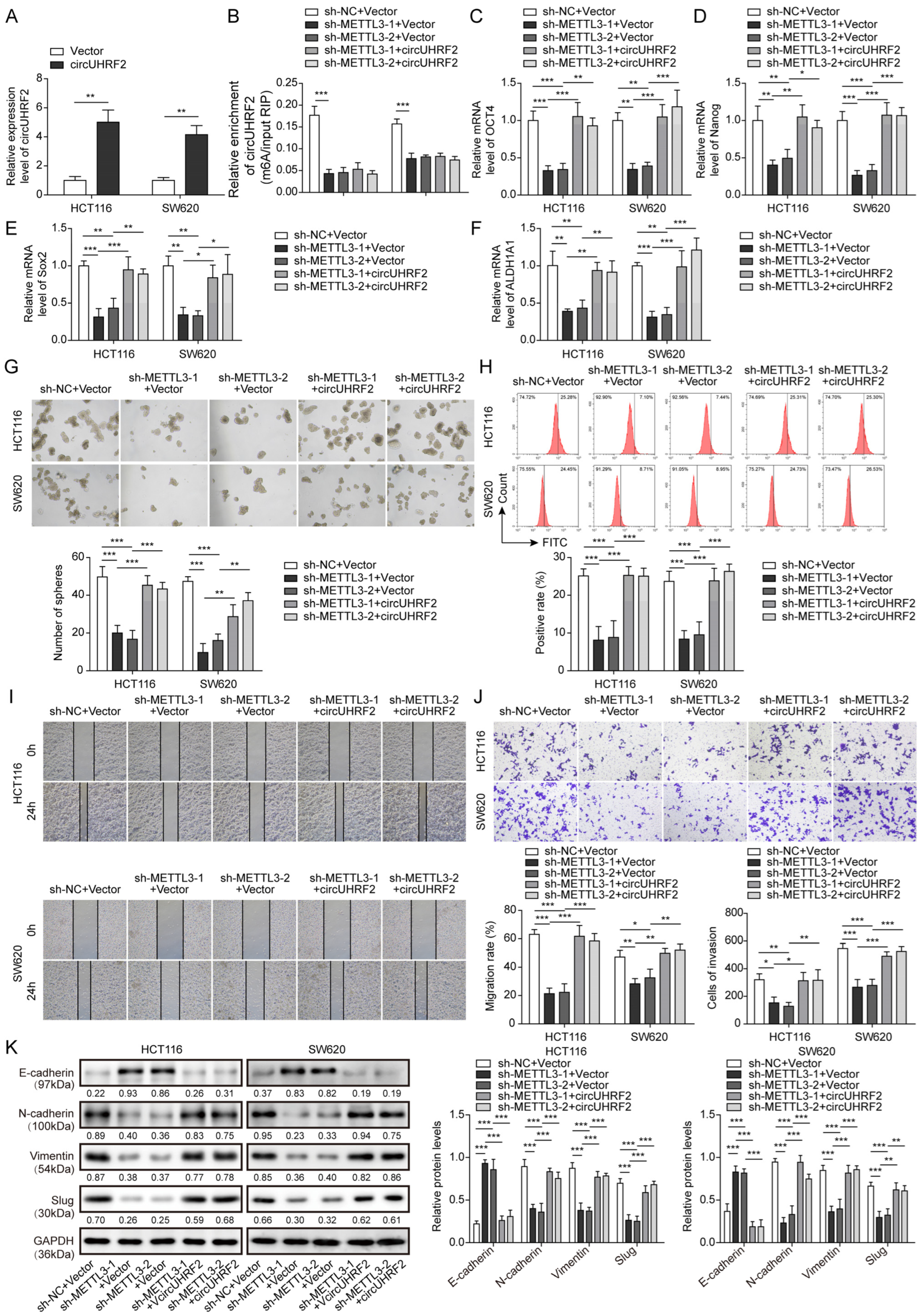 Cancers 15 03148 g004 Cancers 15 03148 g004