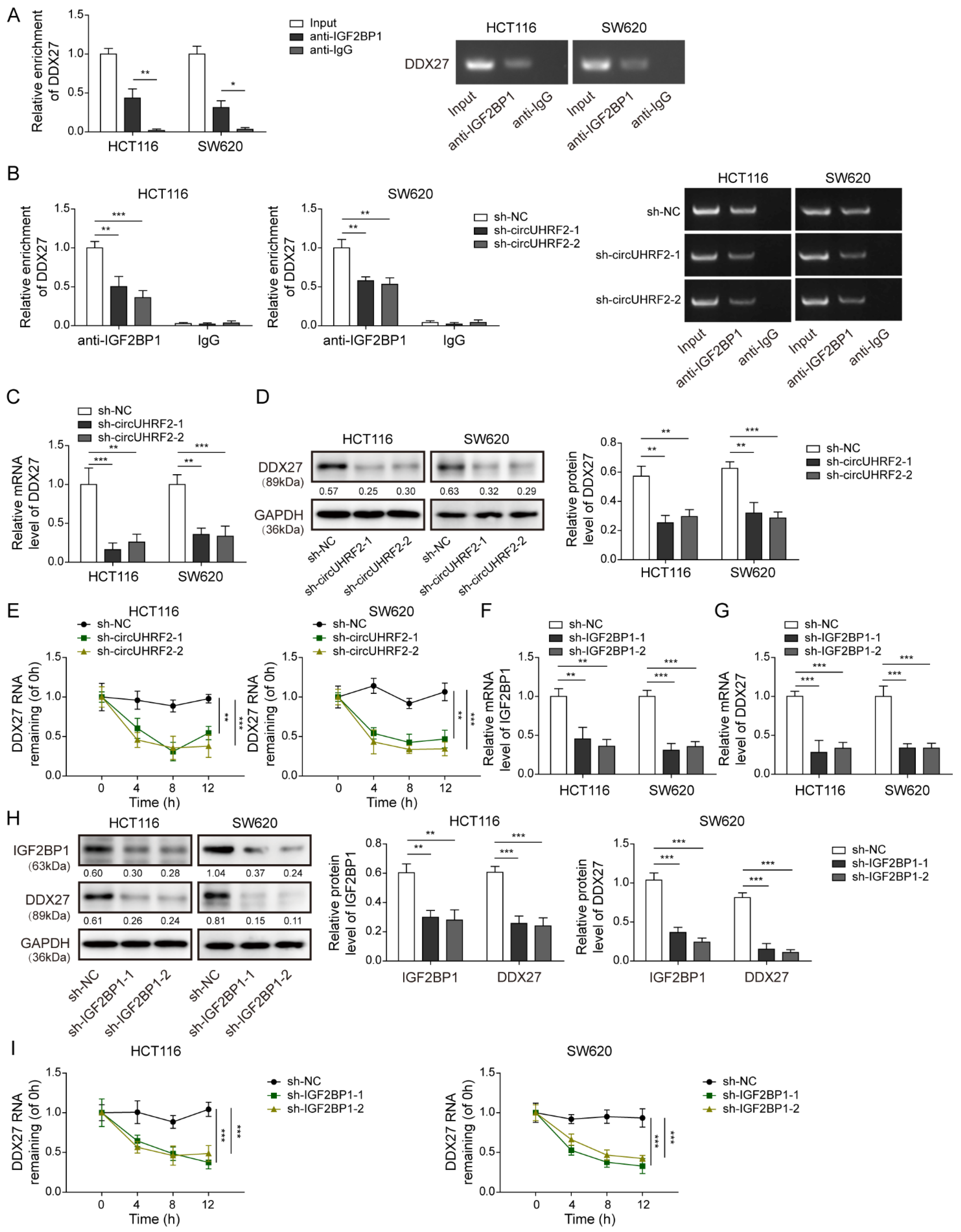 Cancers 15 03148 g006 Cancers 15 03148 g006