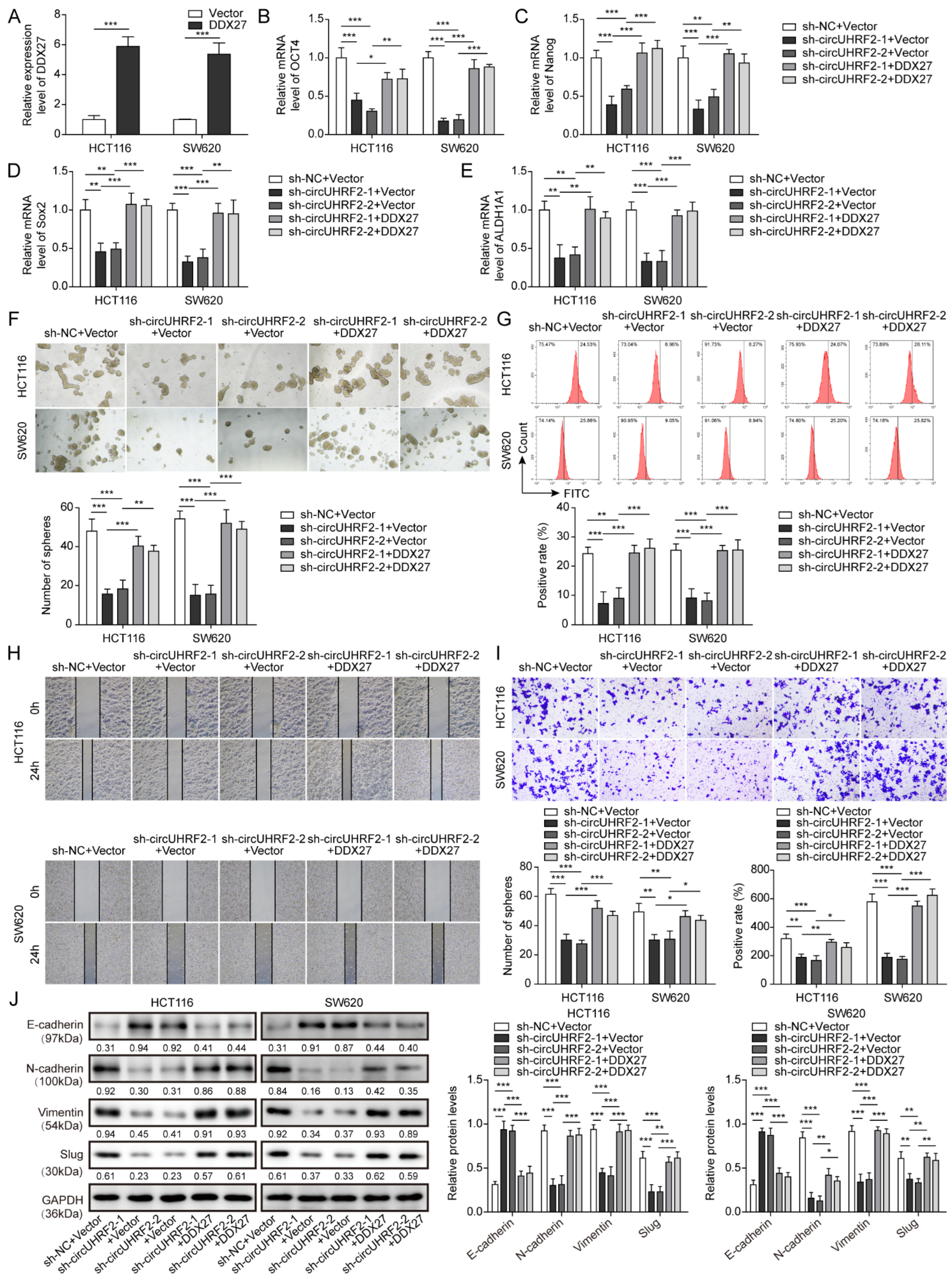 Cancers 15 03148 g007 Cancers 15 03148 g007