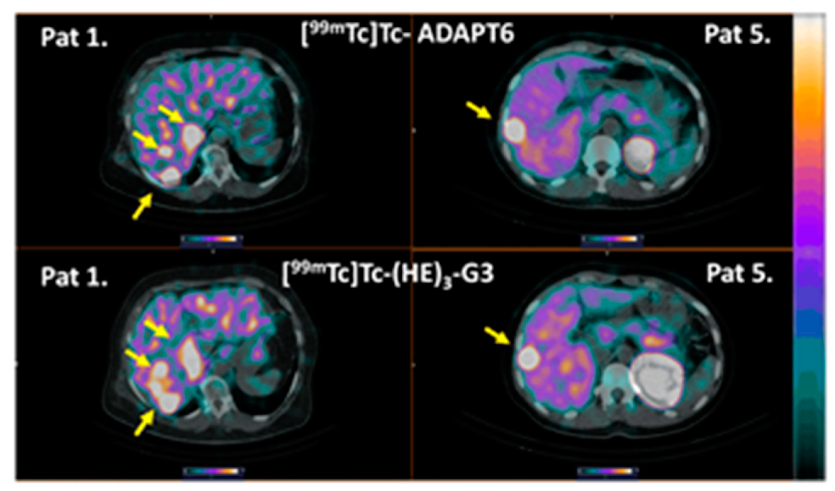 Cancers 15 03149 g009 Cancers 15 03149 g009