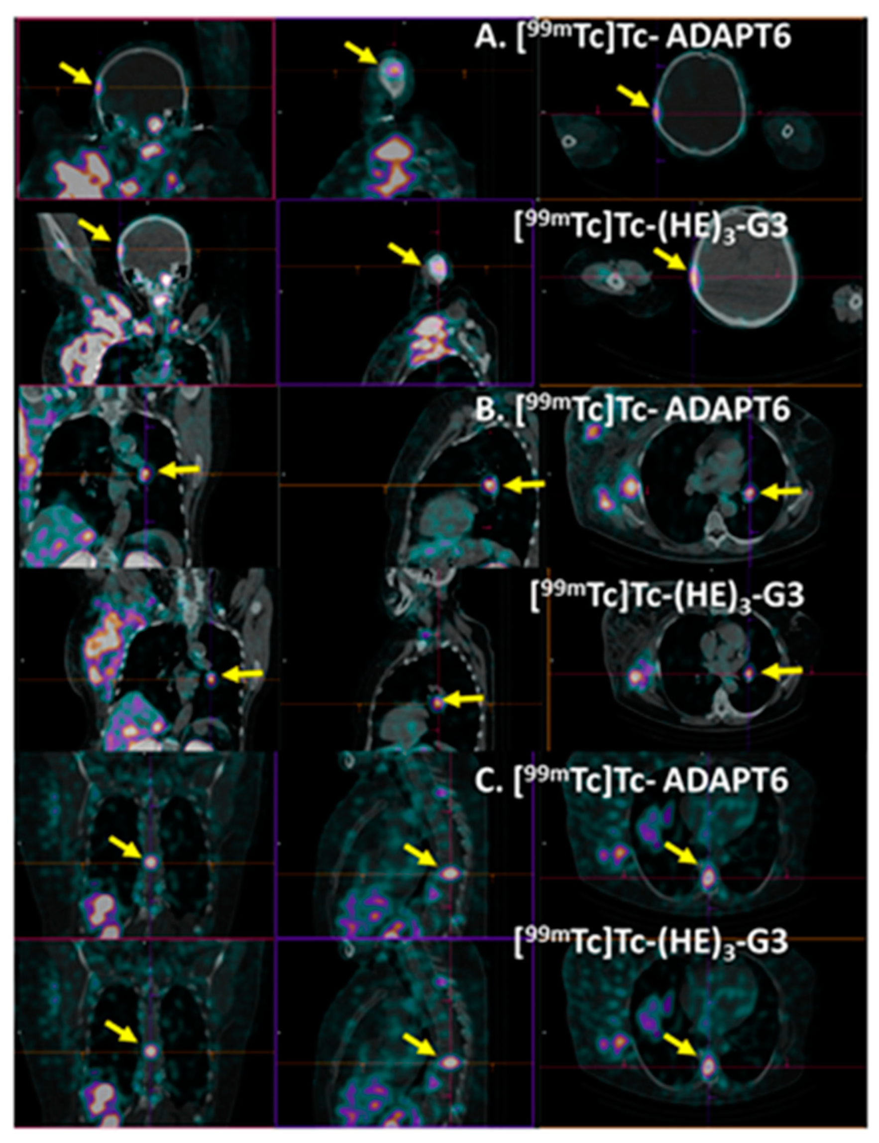 Cancers 15 03149 g011 Cancers 15 03149 g011