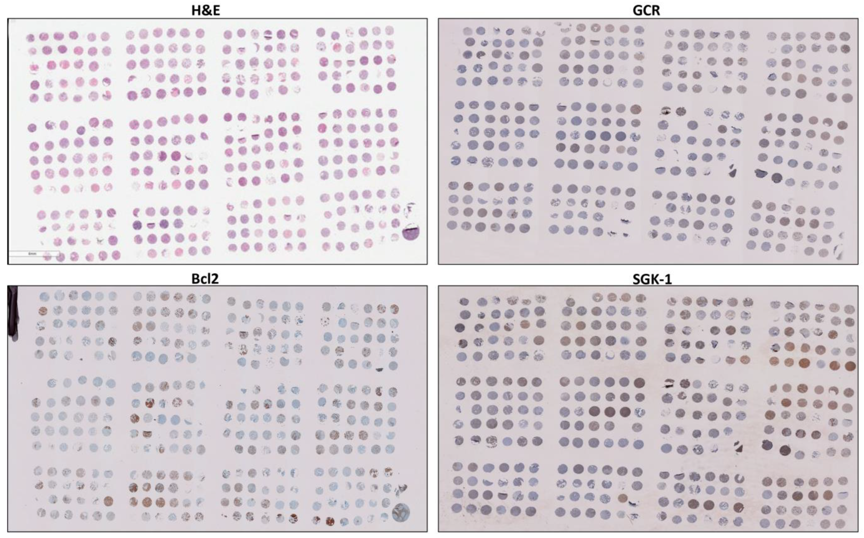 Cancers 15 03151 g001