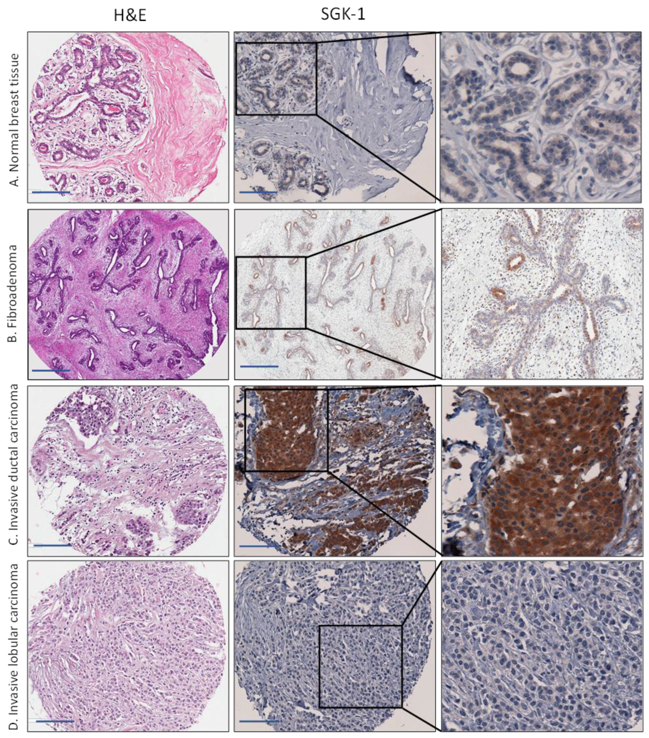 Cancers 15 03151 g002