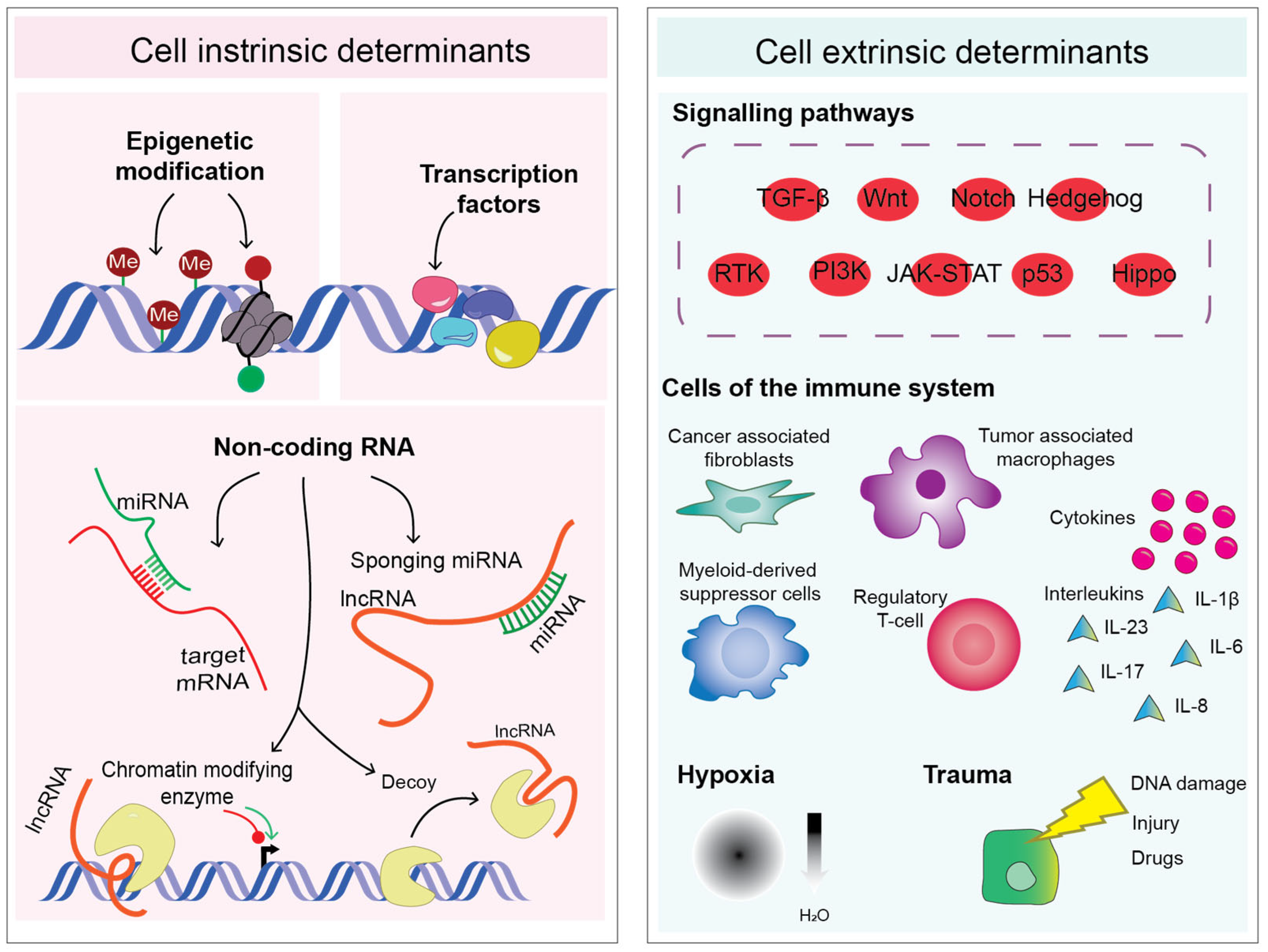 Cancers 15 03152 g001 Cancers 15 03152 g001