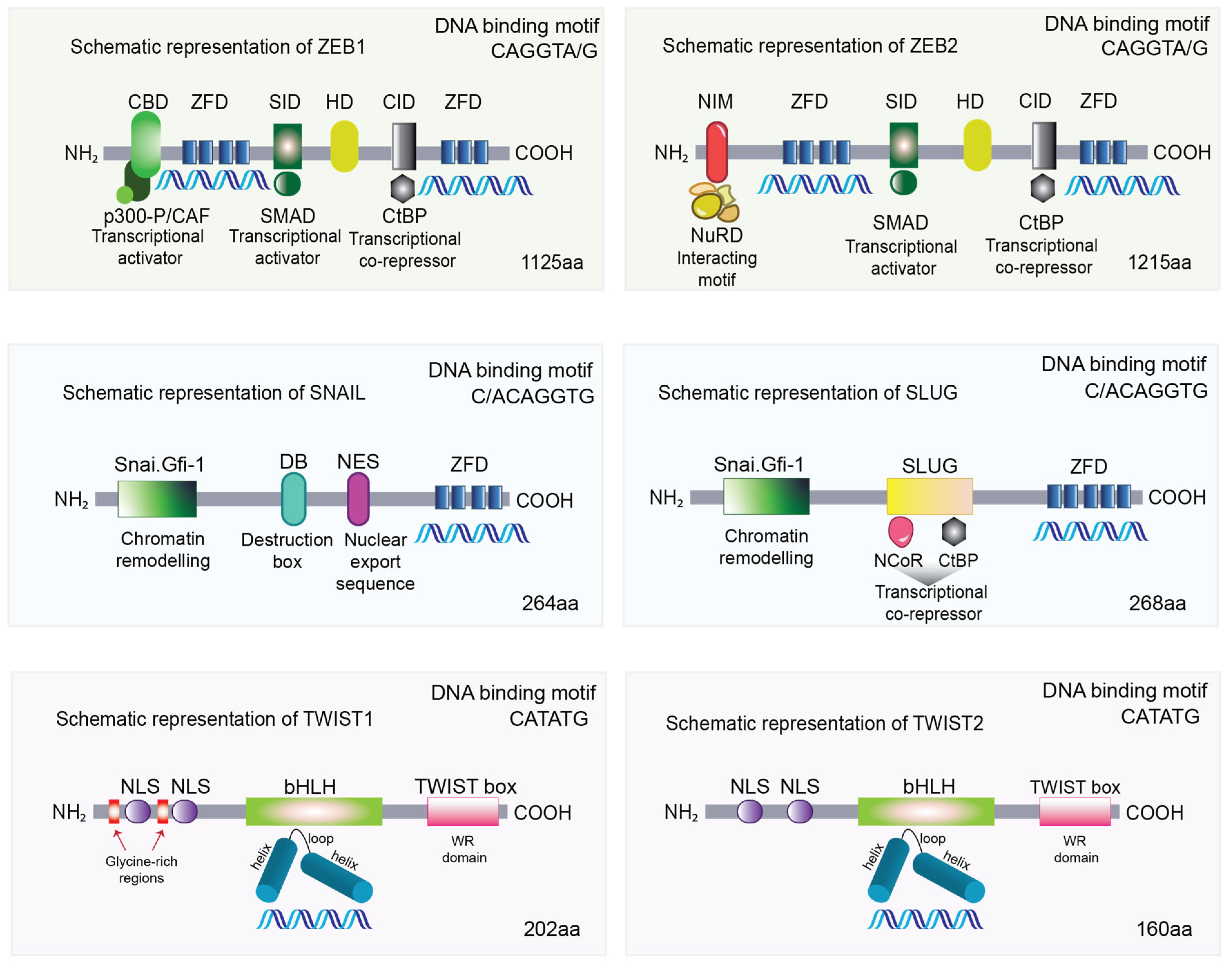 Cancers 15 03152 g002 Cancers 15 03152 g002