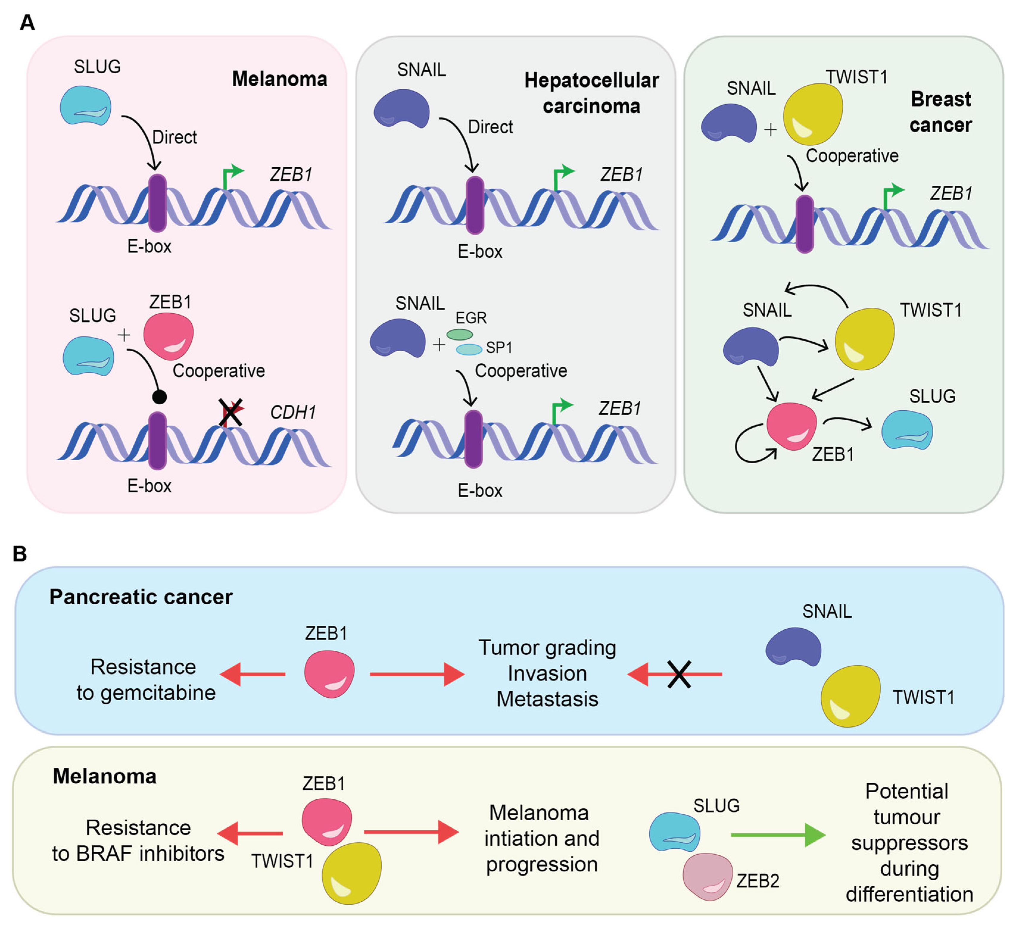Cancers 15 03152 g003 Cancers 15 03152 g003