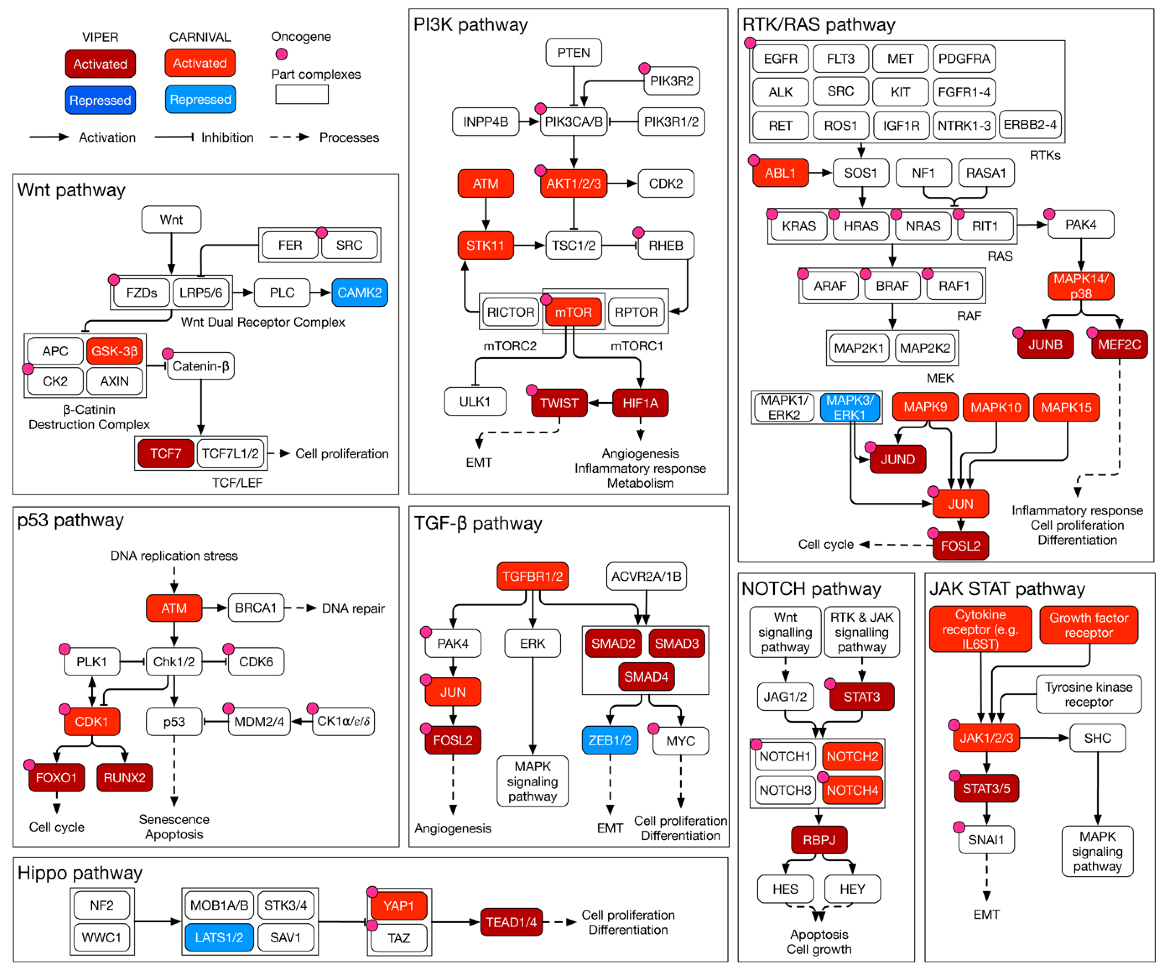 Cancers 15 03155 g005 Cancers 15 03155 g005