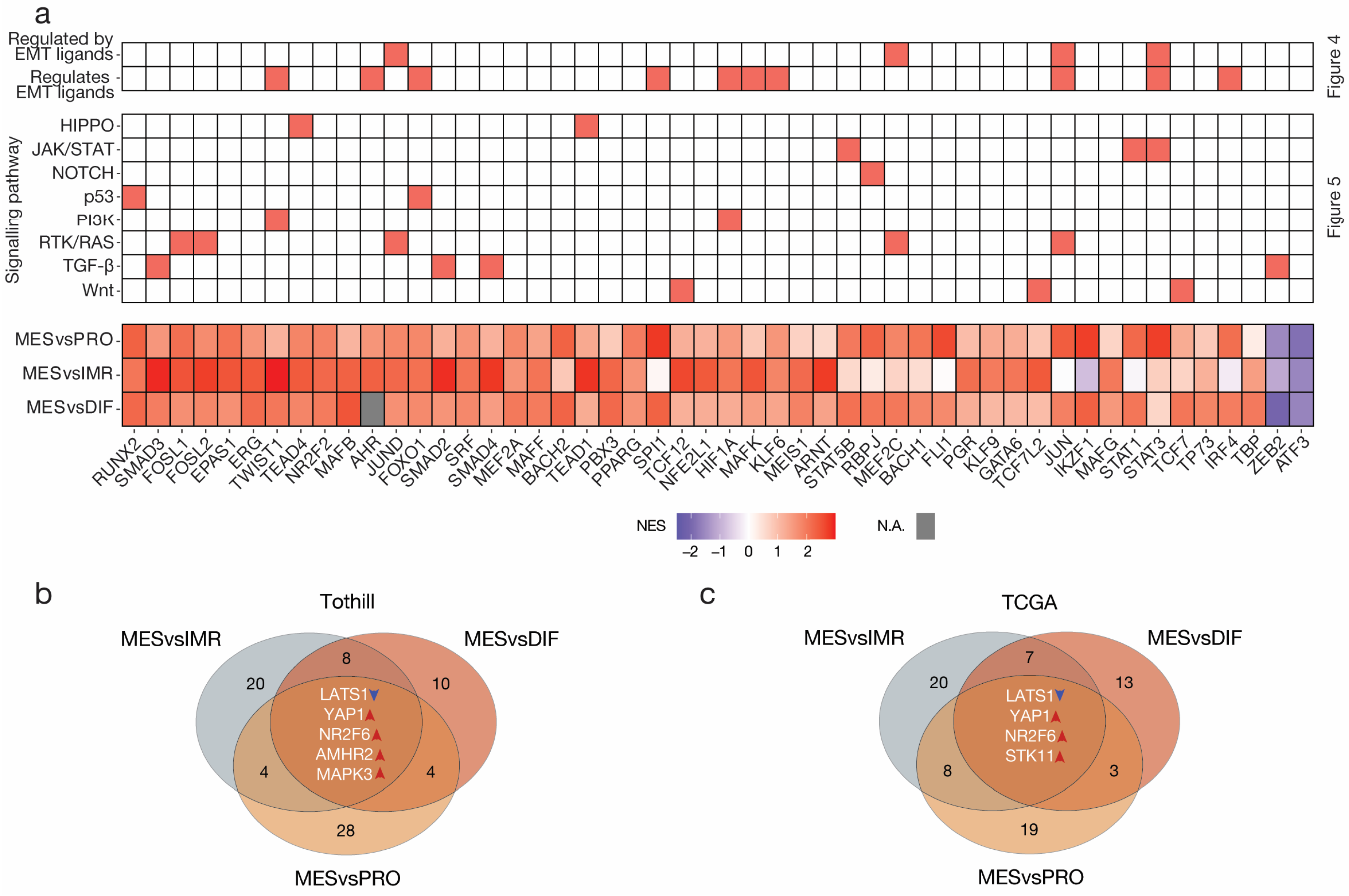 Cancers 15 03155 g006 Cancers 15 03155 g006