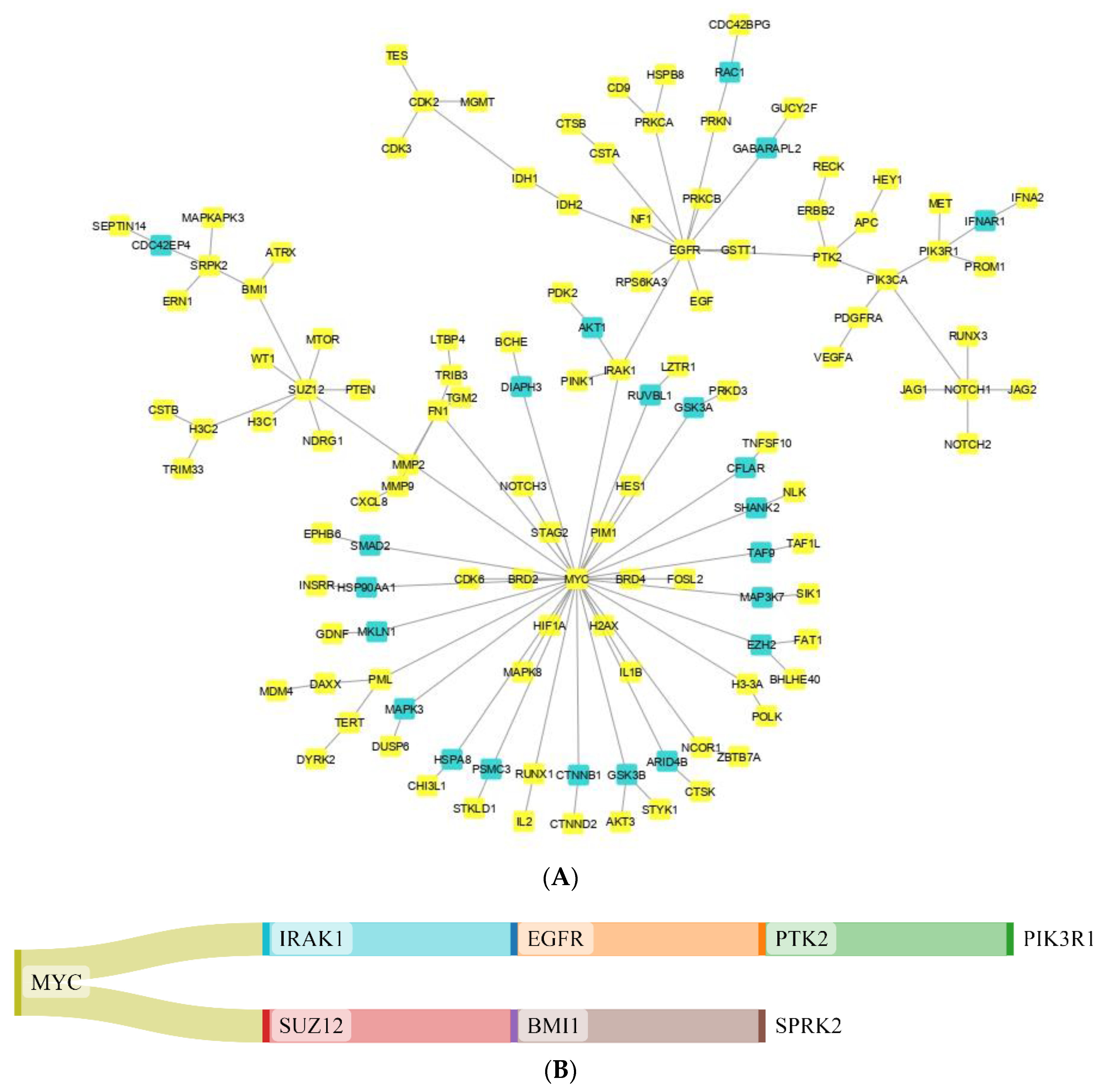 Cancers 15 03158 g003