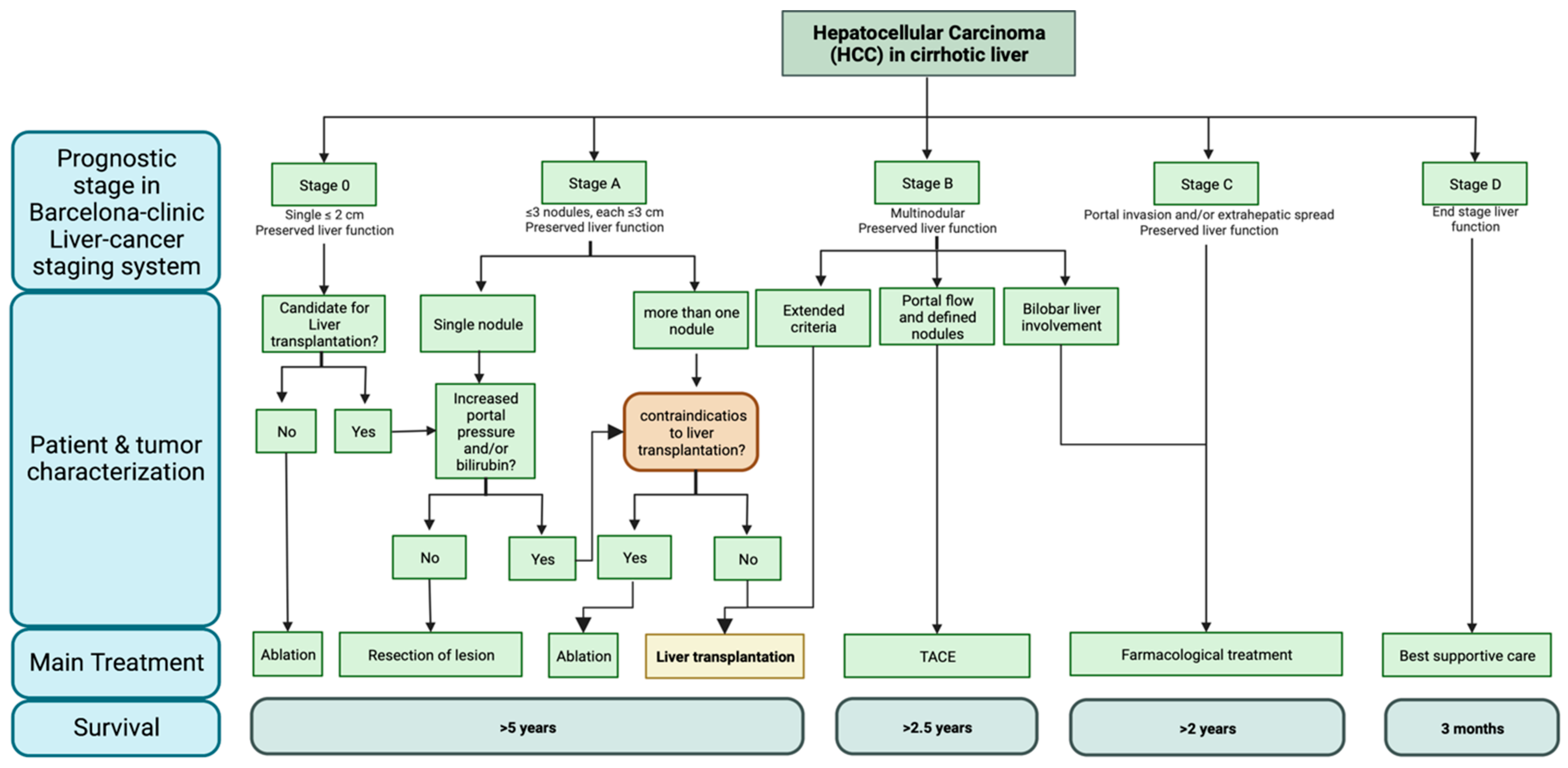 cancers-free-full-text-cell-free-dna-as-a-surveillance-tool-for