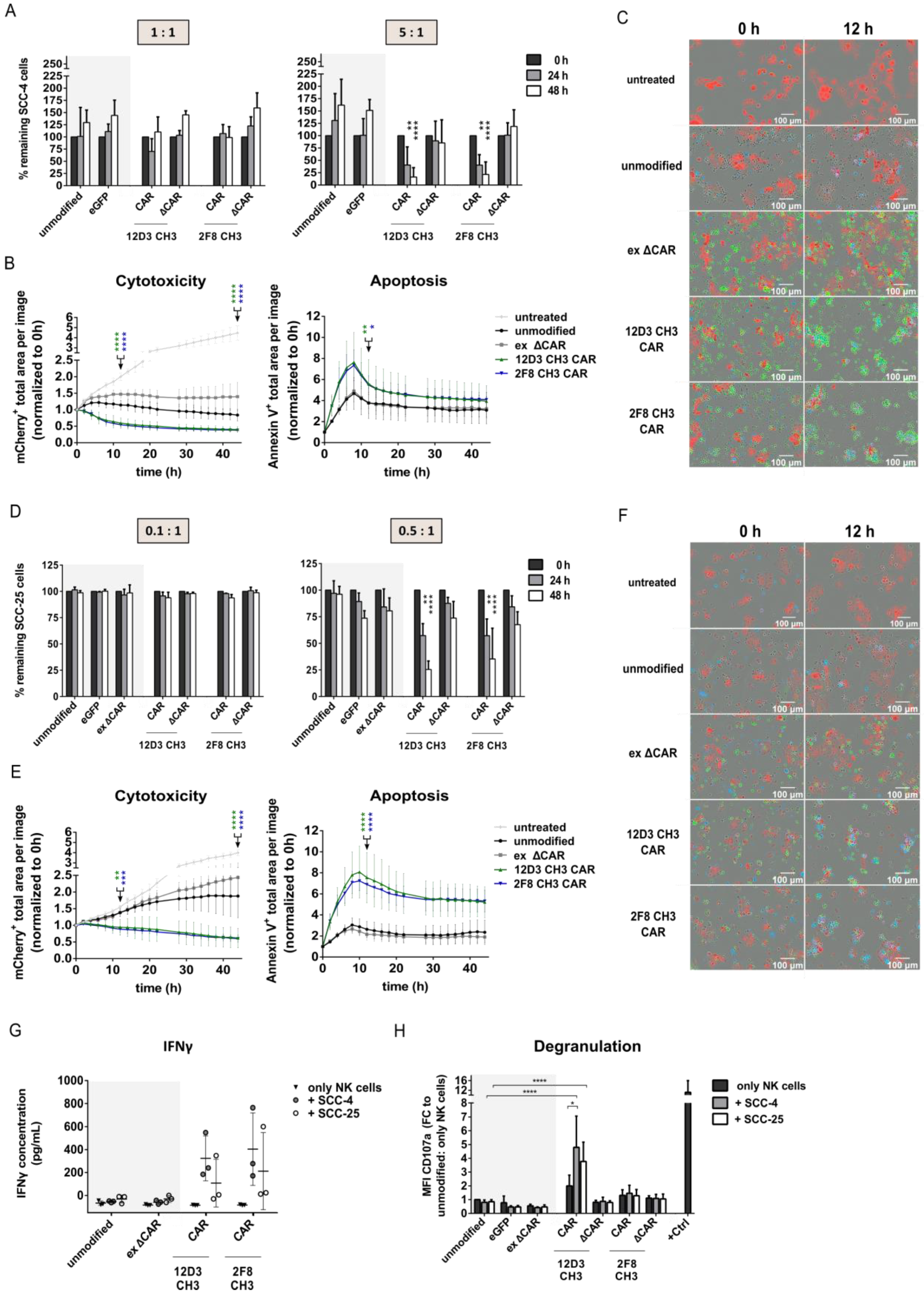 Cancers 15 03169 g003 Cancers 15 03169 g003