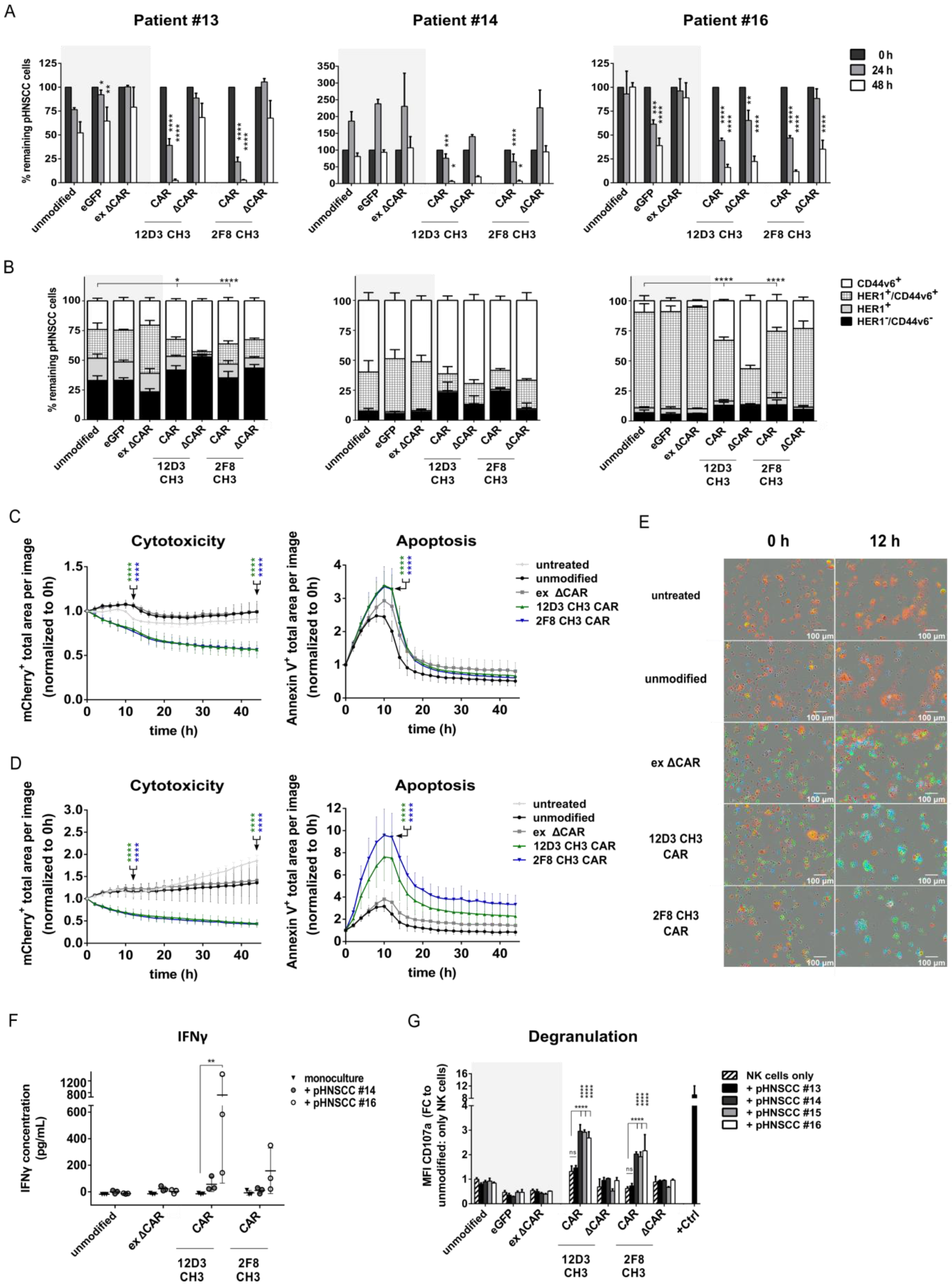 Cancers 15 03169 g005 Cancers 15 03169 g005